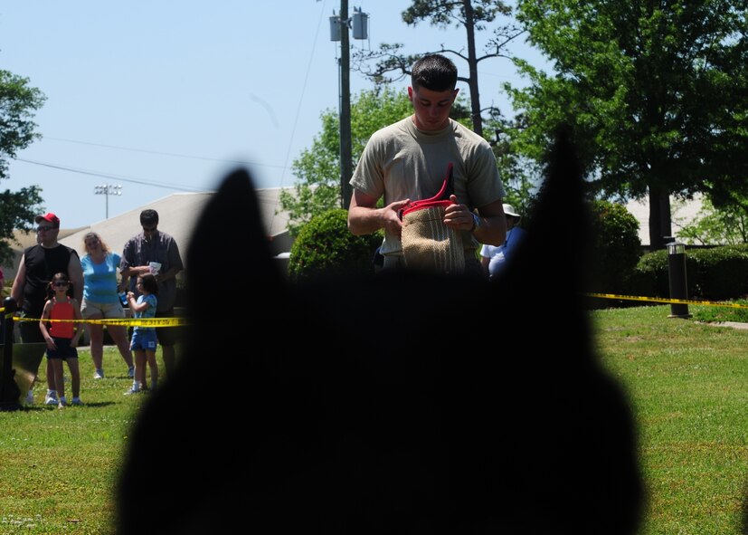 Military working dog Ralph eyes Staff Sgt. John Whisman, 4th Security Forces Squadron, as he puts on a bite sleeve during the Wings Over Wayne Air Show at Seymour Johnson Air Force Base, N.C., April 26, 2009. Ralph and his handler Staff Sgt. Bradford Camp demonstrated the six phases of aggression to the crowd and had fellow handlers on hand to answer questions. (U.S. Air Force photo by Airman 1st Class Rae Perry)