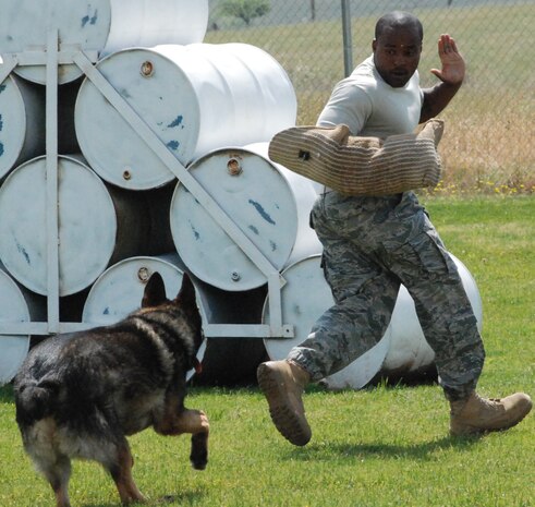 Jimmy K-193, a military working dog, attacks an "assailant" played by Tech. Sgt. Louis Smith, a 9th SFS trainer. Dogs are taught to react to behaviors and attack on command from their handlers. (Photo by Airman 1st Class Chuck Broadway)