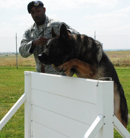 Jimmy K-193, a military working dog jumps hurdles April 28 as part of the obedience and obstacle course. Staff Sgt. Curtis Lewis, a 9th SFS dog handler, assists his dog over the obstacle. (Photo by Airman 1st Class Chuck Broadway)