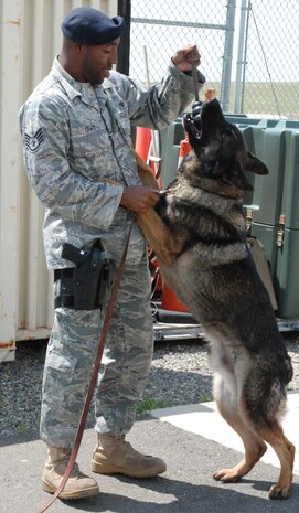 Staff Sgt. Curtis Lewis, a 9th SFS dog handler, plays with Jimmy K-193, a military working dog. Handlers use specific techniques to reward the dog after completing training. (Photo by Airman 1st Class Chuck Broadway)