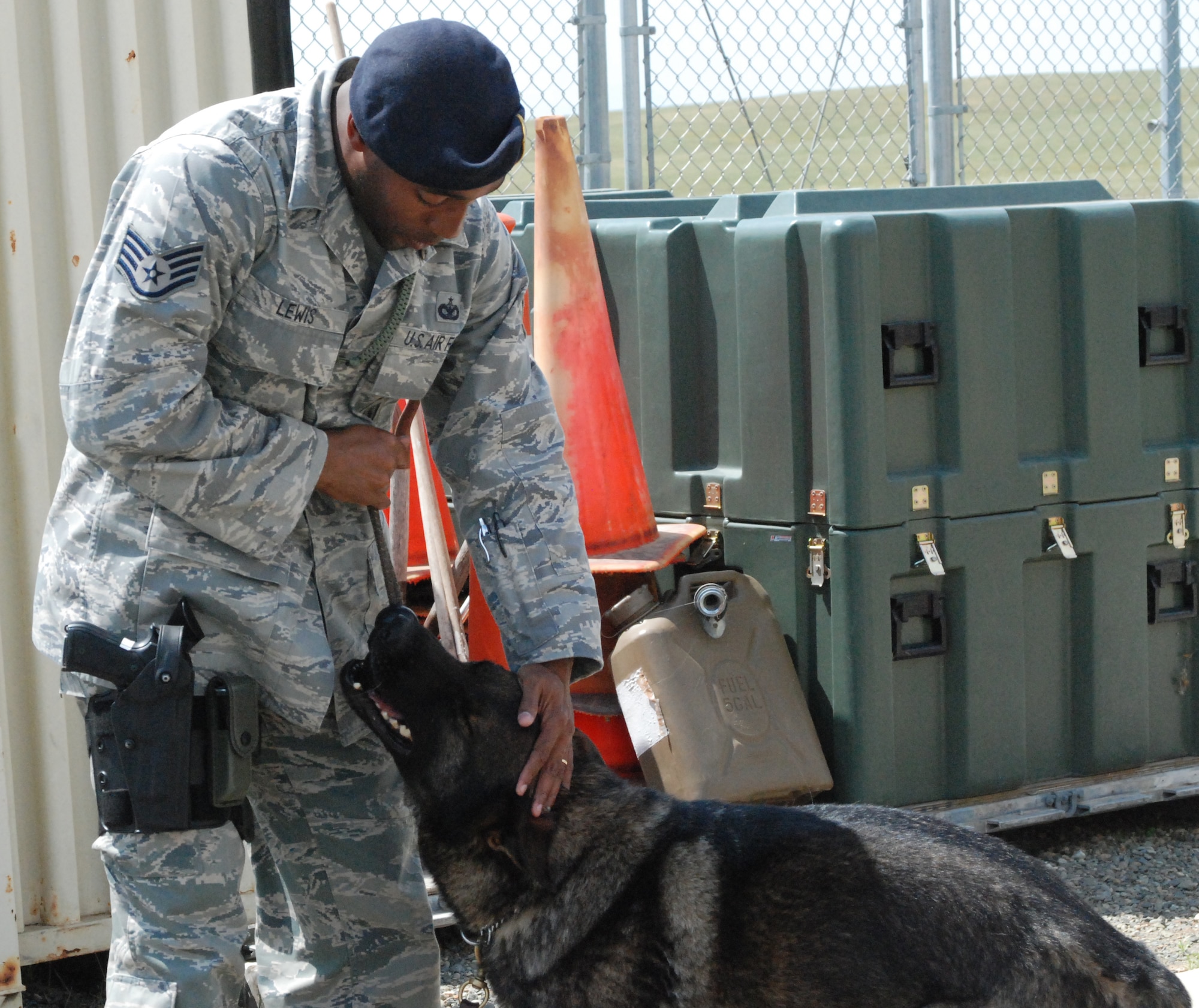 Staff Sgt. Curtis Lewis, a 9th SFS dog handler, praises Jimmy K-193, a military working dog after he successfully found an explosive during a training exercise. Praise and playtime are essential parts of building rapport between the dog and handler.(Photo by Airman 1st Class Chuck Broadway)