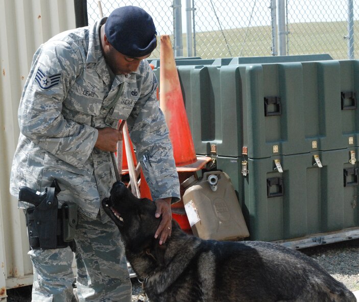 Staff Sgt. Curtis Lewis, a 9th SFS dog handler, praises Jimmy K-193, a military working dog after he successfully found an explosive during a training exercise. Praise and playtime are essential parts of building rapport between the dog and handler.(Photo by Airman 1st Class Chuck Broadway)