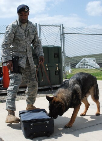 Jimmy K-193, one of Beale's military working dogs, sniffs a suspicious piece of luggagewhile Staff Sgt. Curtis Lewis, a 9th Security Forces Squadron dog handler, guides the leash during a training exercise April 28 at the SFS working dog facility. Dogs are either trained to find narcotics or explosives. (Photo by Airman 1st Class Chuck Broadway)