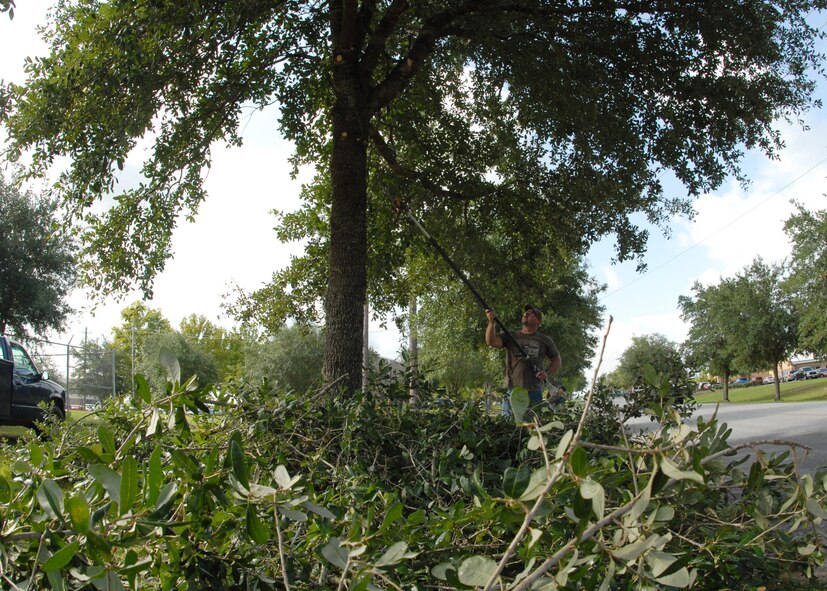 Wesley Flowers, 796th Civil Engineer Squadron, reaches up to cut some of the lower branches of a tree along Drone Street Aug. 1 at Duke Field.  (U.S. Air Force photo/Staff Sgt. Samuel King Jr.)