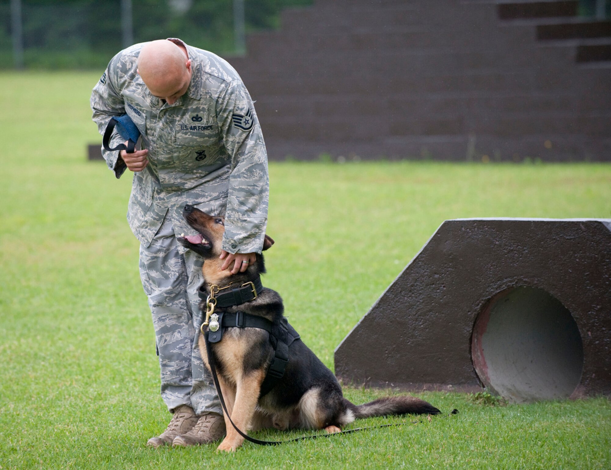 MISAWA AIR BASE, Japan -- Staff Sgt. George Shepherd, 35th Security Forces Squadron dog handler, pats his military working dog Ajo after Ajo completed an obstacle course July 29 at the 35th Security Forces K-9 obstacle course. As part of a bi-lateral exchange with the Japanese Air Self-Defense Force, the 35th Security Forces Squadron K-9 unit demonstrated their capabilities. (U.S. Air Force photo by Staff Sgt. Samuel Morse)