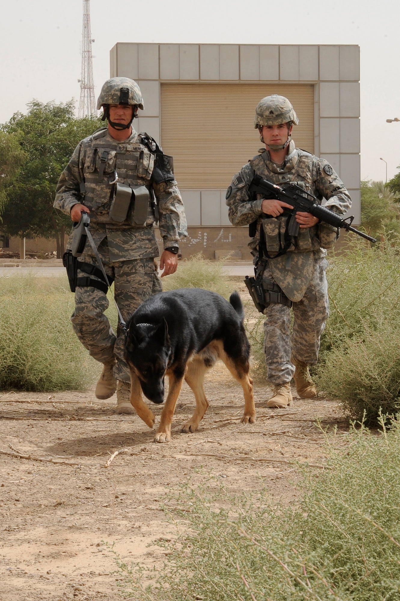 BAGHDAD, Iraq --Air Force Tech. Sgt. Eric Mendez (left), military working dog handler assigned to 143rd Military Police Detachment, and his K9 partner, Jaso, conduct open area sweeps while Army Sgt. Steven Mariani (right), 143rd MPD investigator , provides security here Aug. 6, 2009. The joint team assists Iraqi police with securing and policing the International Zone in central Baghdad. Sergeant Mendez, a native of Woodhaven, Mich., and Jaso are deployed from Ellsworth Air Force Base, S.D. Sergeant Mariani is deployed from the 26th Military Police Detachment at Fort Hood, Texas, and is a native of Keller, Texas. (U.S. Air Force photo/Tech. Sgt. Johnny L. Saldivar/Released)