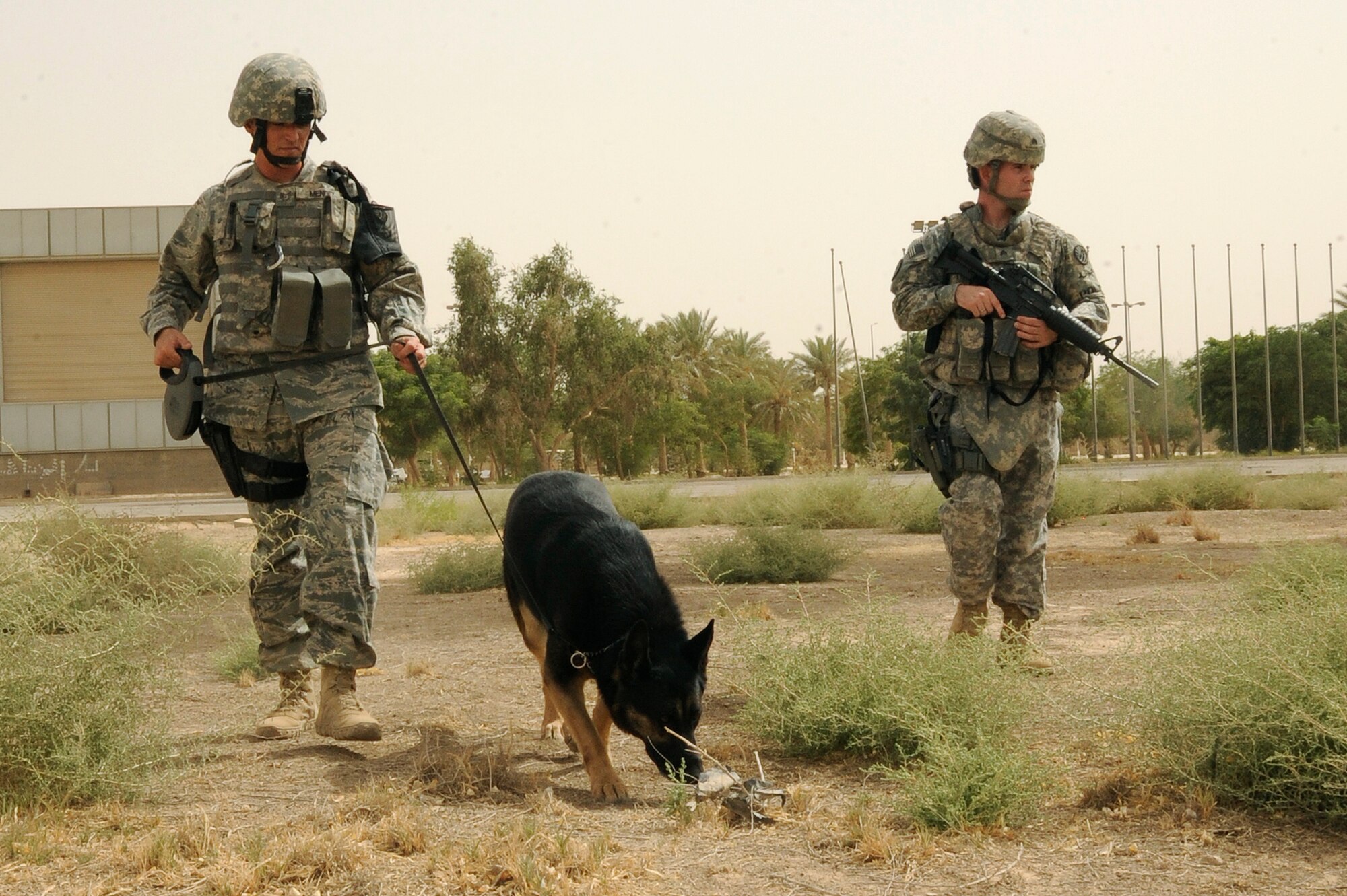 BAGHDAD, Iraq --Air Force Tech. Sgt. Eric Mendez (left), military working dog handler assigned to 143rd Military Police Detachment, and his K9 partner, Jaso, conduct open area sweeps while Army Sgt. Steven Mariani (right), 143rd MPD investigator , provides security here Aug. 6, 2009. The joint team assists Iraqi police with securing and policing the International Zone in central Baghdad. Sergeant Mendez, a native of Woodhaven, Mich., and Jaso are deployed from Ellsworth Air Force Base, S.D.  Sergeant Mariani is deployed from the 26th Military Police Detachment at Fort Hood, Texas, and is a native of Keller, Texas. (U.S. Air Force photo/Tech. Sgt. Johnny L. Saldivar/Released)