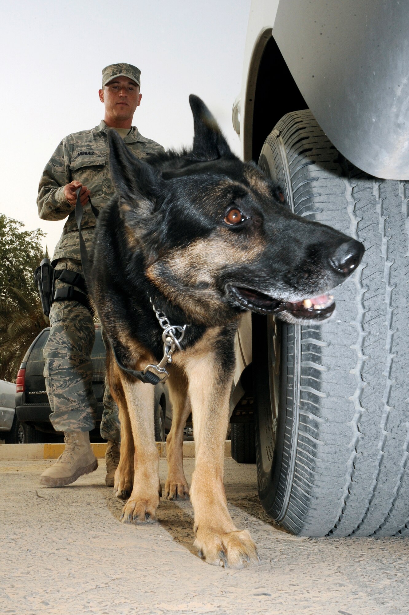 BAGHDAD, Iraq --Air Force Tech. Sgt. Eric Mendez, military working dog handler assigned to 143rd Military Police detachment, and his K9 partner, Jaso, conduct an area sweep here Aug. 6, 2009. Sergeant Mendez and Jaso assist Iraqi police with securing and policing the International Zone in central Baghdad. Both the dog and handler are deployed from Ellsworth Air Force Base, S.D. Sergeant Mendez is a native of Woodhaven, Mich. (U.S. Air Force photo/Tech. Sgt. Johnny L. Saldivar/Released)