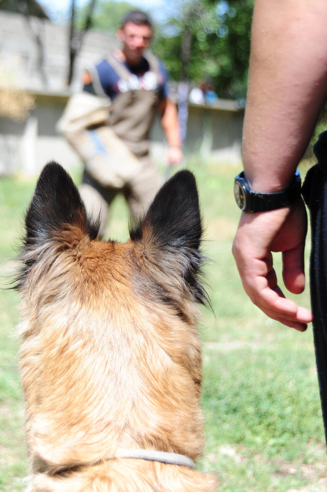 Kyrgyzstan State Security Service K-9 Vali waits for a controlled attack upon the decoy aggressor Joseph Villalobos during exercises Aug. 7 in Bishkek, Kyrgyzstan. Transit Center at Manas, Kyrgyzstan, military working dog handlers have been training with the Kyrgyzstan State Security Service for over three years and have built a strong relationship with the Kyrgyz handlers. Mr. Villalobos is a 376th Expeditionary Security Forces Squadron military working dog trainer, originally from Sanger, Calif. (U.S. Air Force photo/Senior Airman Steele C. G. Britton) 