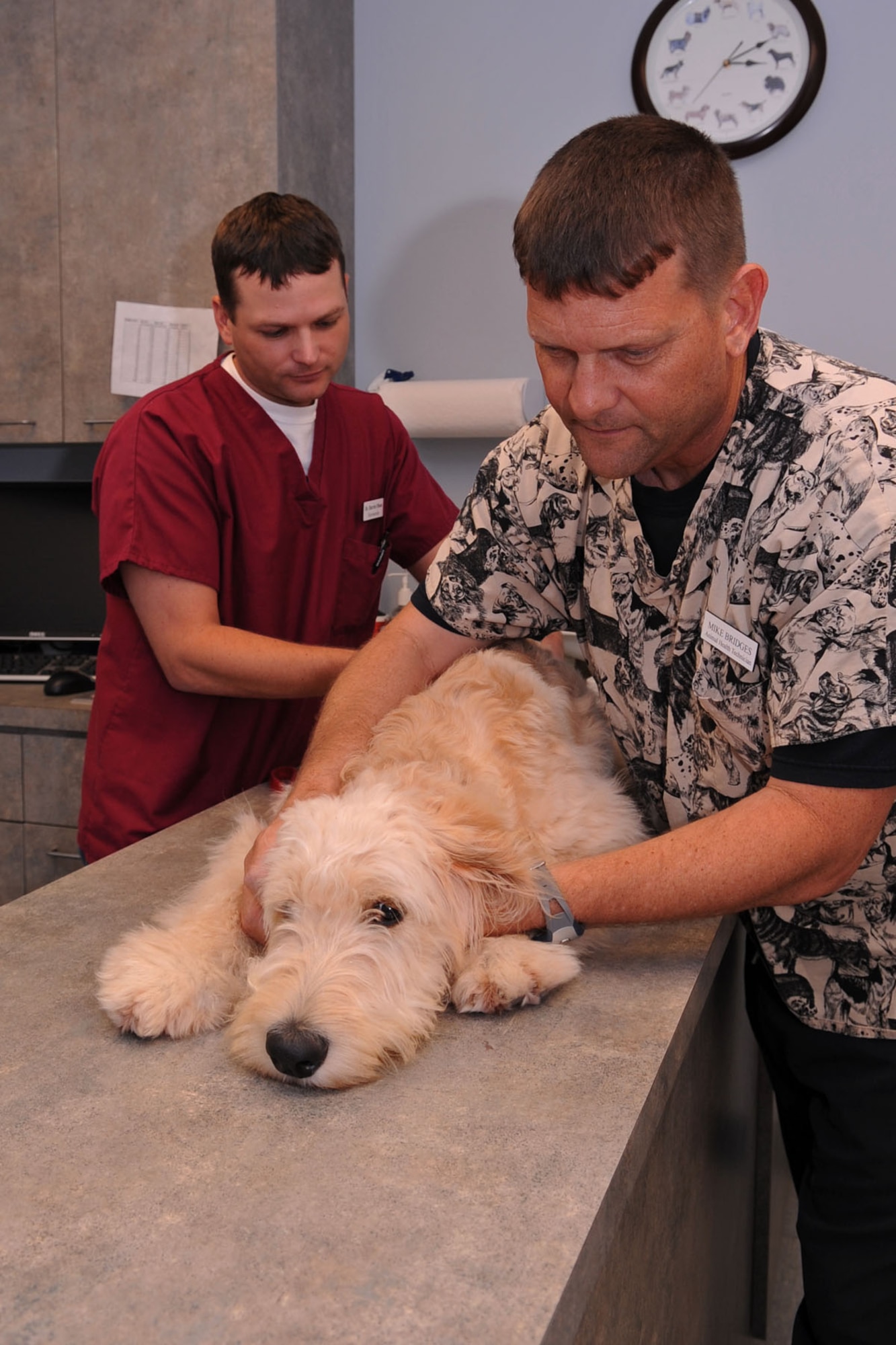 BARKSDALE AIR FORCE BASE, La. -- Dr. Darrin Olson, base veterinarian, and Mike Bridges, veterinarian technician, performs a physical on Kenai at the clinic August 10. (U.S. photo by Senior Airman La’Shanette Garrett) 