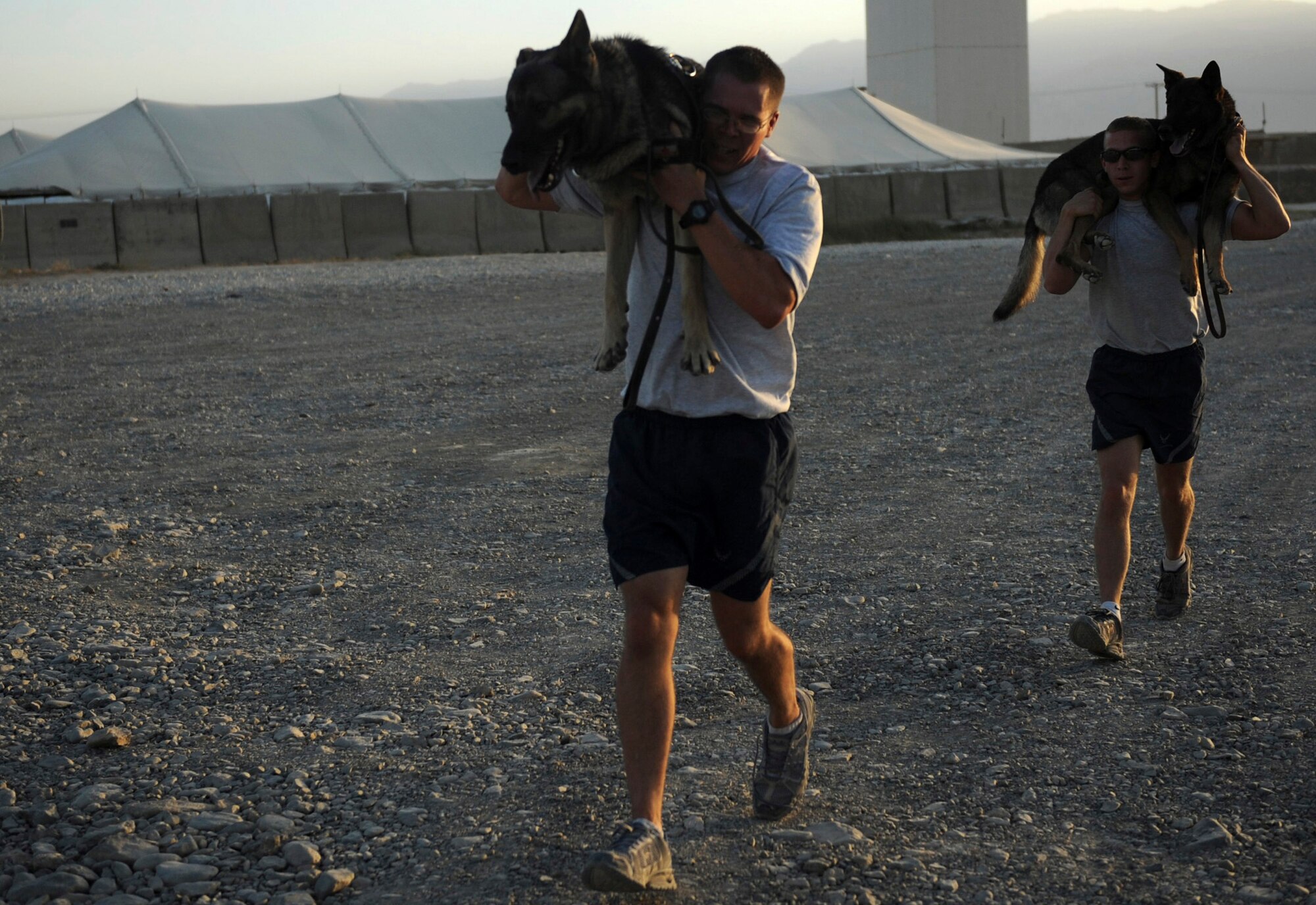 BAGRAM AIRFIELD, Afghanistan - Staff Sgts. Justin Kitts and Scott Carpenter carry their dogs Mayo and Kane through the last leg of a training run Aug. 9. Sergeants Kitts and Carpenter are dog handlers with the 455th Expeditionary Security Forces Squadron and deployed from Luke Air Force Base, Ariz., and Peterson AFB, Colo., respectively. K-9 units patrol the base and inspect mail, luggage, and vehicles. (U.S. Air Force photo/Staff Sgt. J.G. Buzanowski)