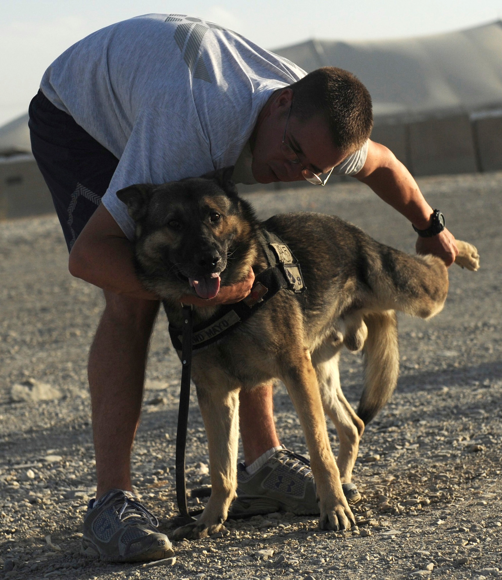 BAGRAM AIRFIELD, Afghanistan - Staff Sgt. Justin Kitts stretches with his German shepherd, Mayo, Aug. 9. Sergeant Kitts an eight-year Air Force veteran, is a dog handler with the 455th Expeditionary Security Forces Squadron and is deployed from Luke Air Force Base, Ariz. He and his dog patrol the base and inspect mail, luggage, and vehicles for narcotics. (U.S. Air Force photo/Staff Sgt. J.G. Buzanowski)