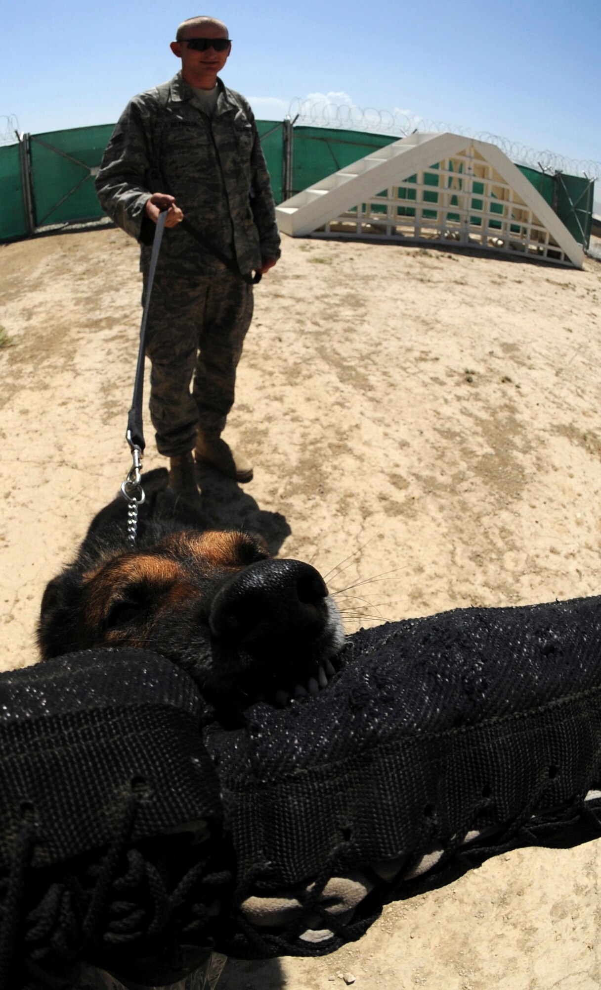 BAGRAM AIRFIELD, Afghanistan -  Baiky, a military working dog, gnaws on a training sleeve Aug. 7. Baiky is deployed here with his handler, Staff Sgt. Chris Reynolds, from Vandenberg Air Force Base, Calif. He and his dog patrol the base and inspect mail, luggage, and vehicles for narcotics. (U.S. Air Force photo/Staff Sgt. J.G. Buzanowski)