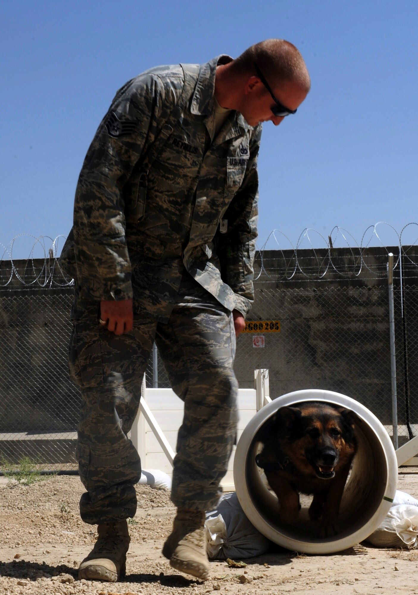 BAGRAM AIRFIELD, Afghanistan - Staff Sgt. Chris Reynolds runs his German shepherd, Baiky, through a training obstacle course Aug. 7. Sergeant Reynolds, an eight-year Air Force veteran, is a dog handler with the 455th Expeditionary Security Forces Squadron and is deployed from Vandenberg Air Force Base, Calif. He and his dog patrol the base and inspect mail, luggage, and vehicles for narcotics. (U.S. Air Force photo/Staff Sgt. J.G. Buzanowski)
