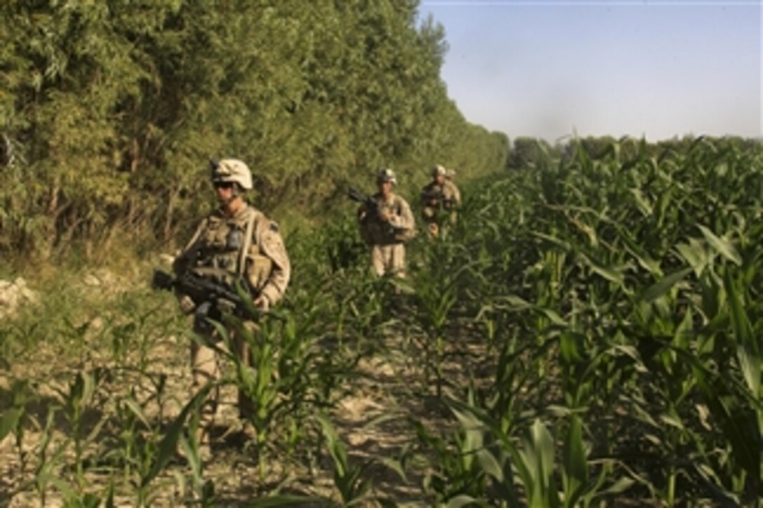 U.S. Marines with Bravo Company, 1st Battalion, 5th Marine Regiment conduct a security patrol through the Nawa district of Afghanistan's Helmand province on Aug. 10, 2009.  The 1st Battalion, 5th Marine Regiment is deployed with Regimental Combat Team 3, which conducts counter insurgency operations in partnership with Afghan National Security Forces in southern Afghanistan.  