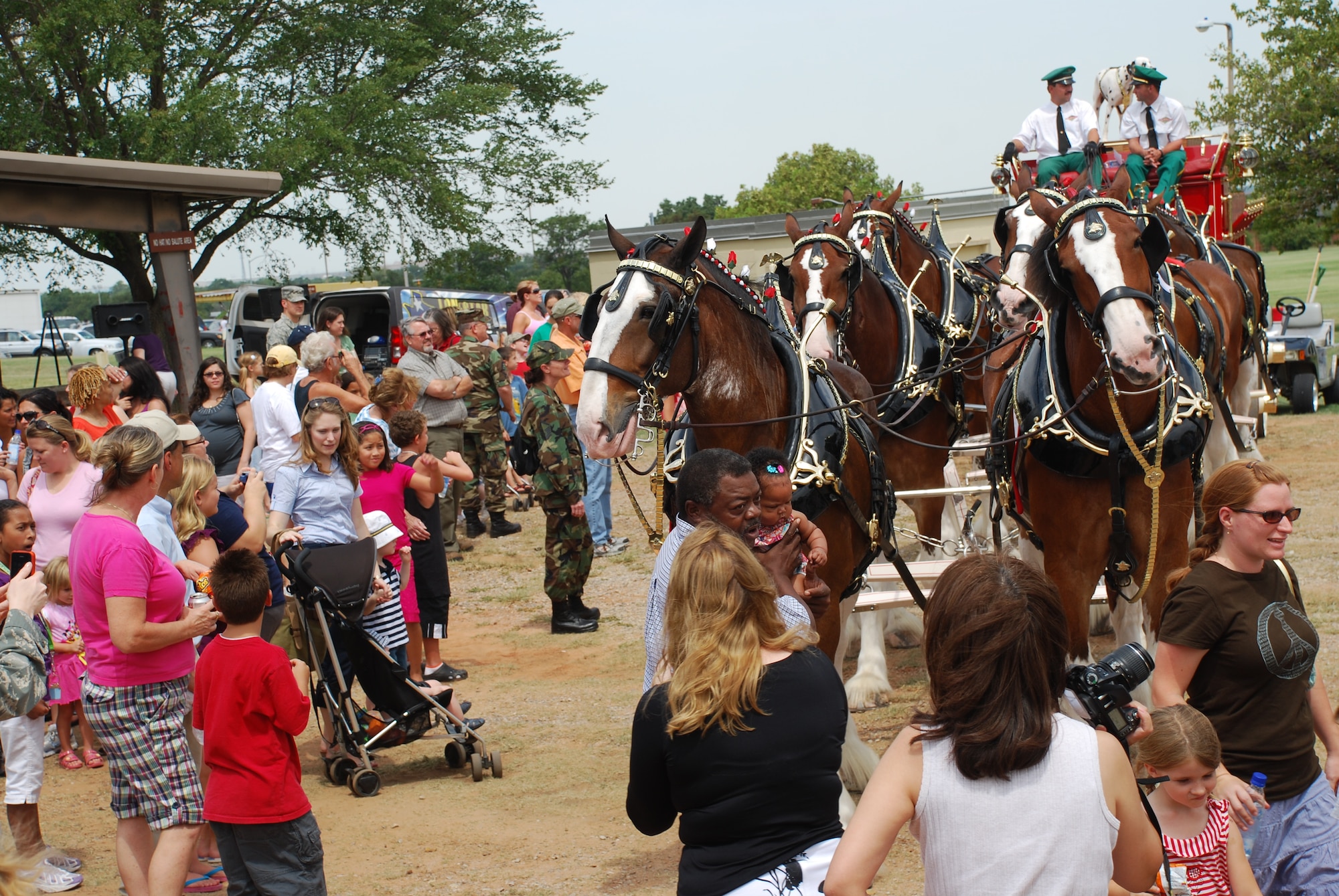 Families from Sheppard gather around the Anheuser-Busch Clydesdales Aug. 13 at the 82nd Medical Group pavilion to admire the large animals. The Clydesdales tour the country 10 months out of the year, always attracting a crowd. (U.S. Air Force photo/ Airman 1st Class Matthew Varga)