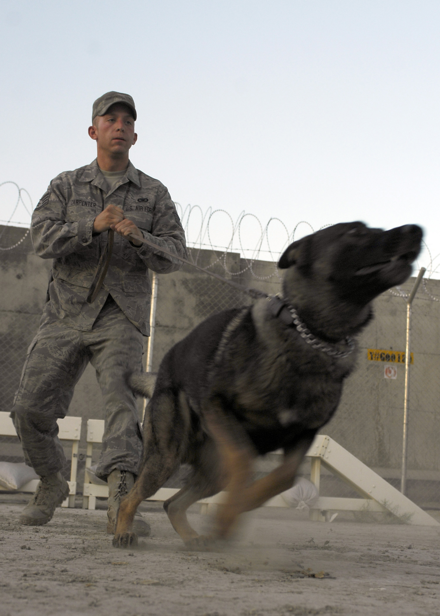 Security In Canine Form U S Air Forces Central Display