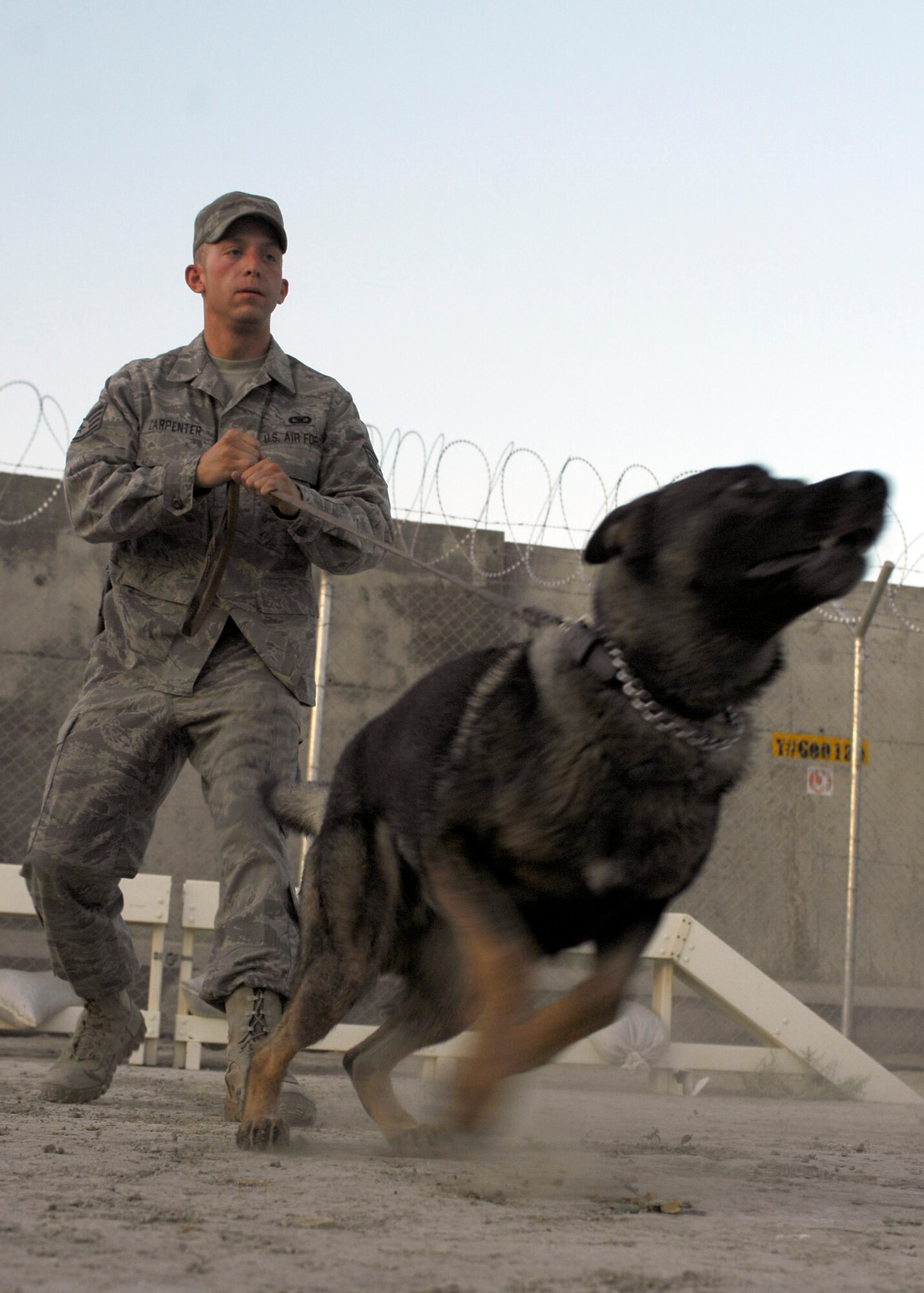 BAGRAM AIRFIELD, Afghanistan - Staff Sgt. Scott Carpenter, from the 455th Expeditionary Security Forces Squadron, holds onto Military Working Dog Kane, while he attacks a training sleeve here, Aug. 9. An Army veterinarian comes in once a month to ensure the military working dogs are healthy and being cared for properly. Sergeant Carpenter has been a handler for a year and a half, and he and Kane are deployed from Peterson Air Force Base, Colo. (U.S. Air Force photo/Senior Airman Felicia Juenke)