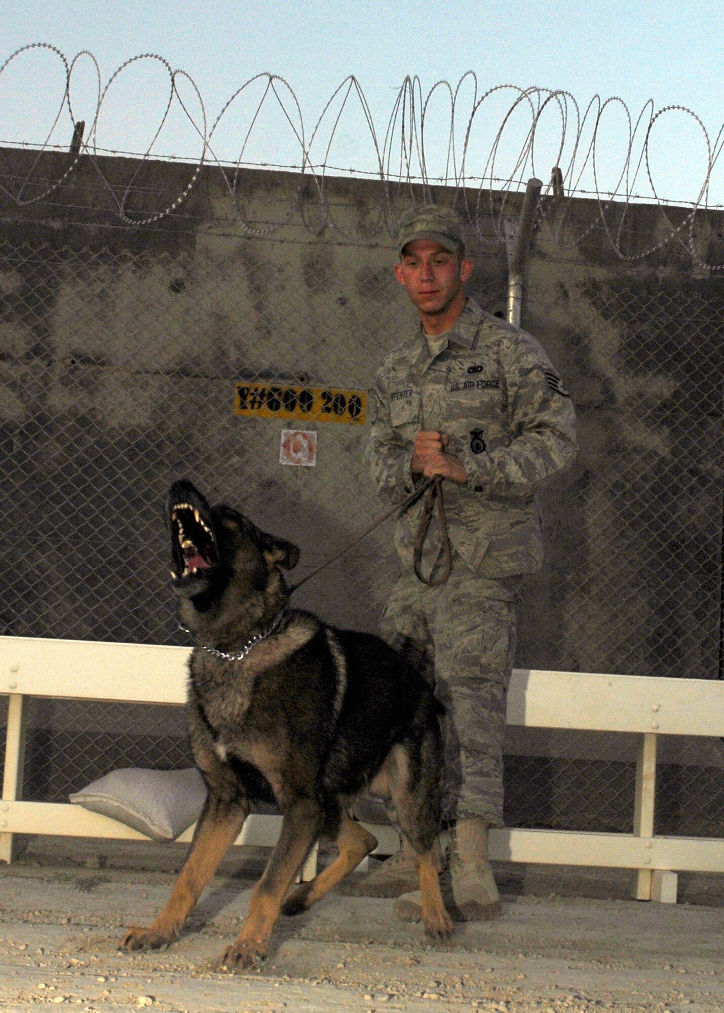 BAGRAM AIRFIELD, Afghanistan - Military working dog Kane shows his bite during training.  Staff Sgt. Scott Carpenter, from the 455th Expeditionary Security Forces Squadron, holds Kane back until Kane is ready to attack here, Aug. 9. The facilities that the dogs and handlers work and live in were built by the handlers in eight days, which brought the teams closer together and boosted the morale.  The facilities were fully operational in three weeks.  Sergeant Carpenter has been a handler for a year and a half, and he and Kane are deployed from Peterson Air Force Base, Colo. (U.S. Air Force photo/Senior Airman Felicia Juenke)