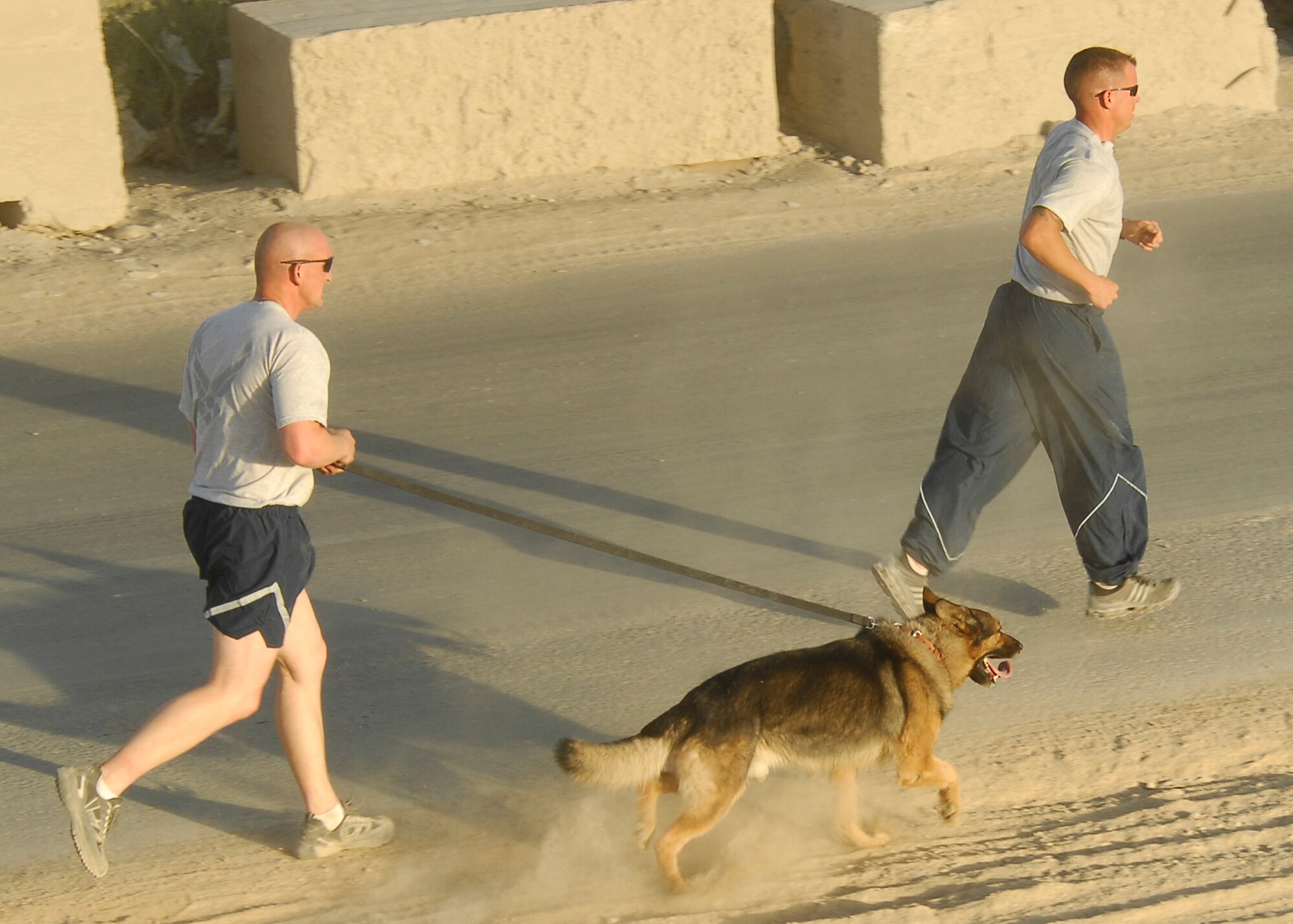 BAGRAM AIRFIELD, Afghanistan - Staff Sgt. Christopher Reynolds (left), a native of Visalia, Calif. and his military working dog, Baiky, run alongside Tech. Sgt. Andrew Odell, a native of Mason, Ariz., during a run here, Aug. 9.  The canines and their handlers exercise at least three times a week.  The runs are a way for the 455th Expeditionary Security Forces Squadron K-9 unit to build morale and team cohesion.  Sergeant Reynolds and Baiky are deployed from Vandenberg Air Force Base, Calif. while Sergeant Odell is deployed from Davis-Monthan AFB, Ariz. (U.S. Air Force photo/Senior Airman Felicia Juenke)