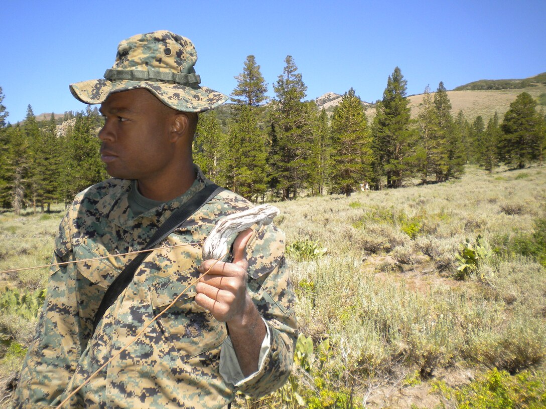 Sgt. Demetrice Fortson, a 1st Air Naval Gunfire Liason Company field radio operator, and Texarkana, Ar., native, holds up his corner of a field-expedient antenna while his teams attempts to establish communications during an evaluation phase of the Mountain Command and Control Communications Course Aug. 15 at Landing Zone Cardinal.