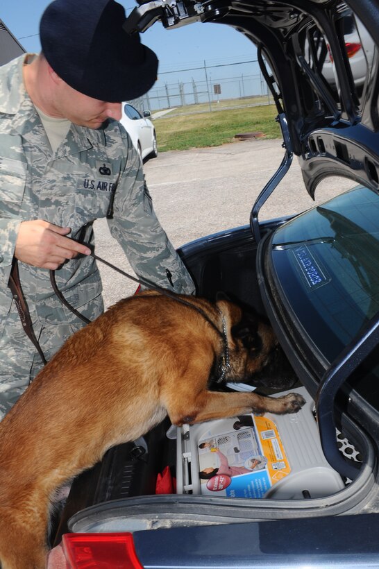 Staff Sgt. Curtis Locke, 28th Security Forces Squadron military working dog trainer, and Marko, 28 SFS military working dog, demonstrate searching a trunk for illegal contraband in a privately owned vehicle here, August 13. A unique military working dog program offers Airmen a chance to have a drug detector dog search a used vehicle or a rental within 30 days of receipt. (U.S. Air Force photo/Senior Airman Kasey Zickmund)