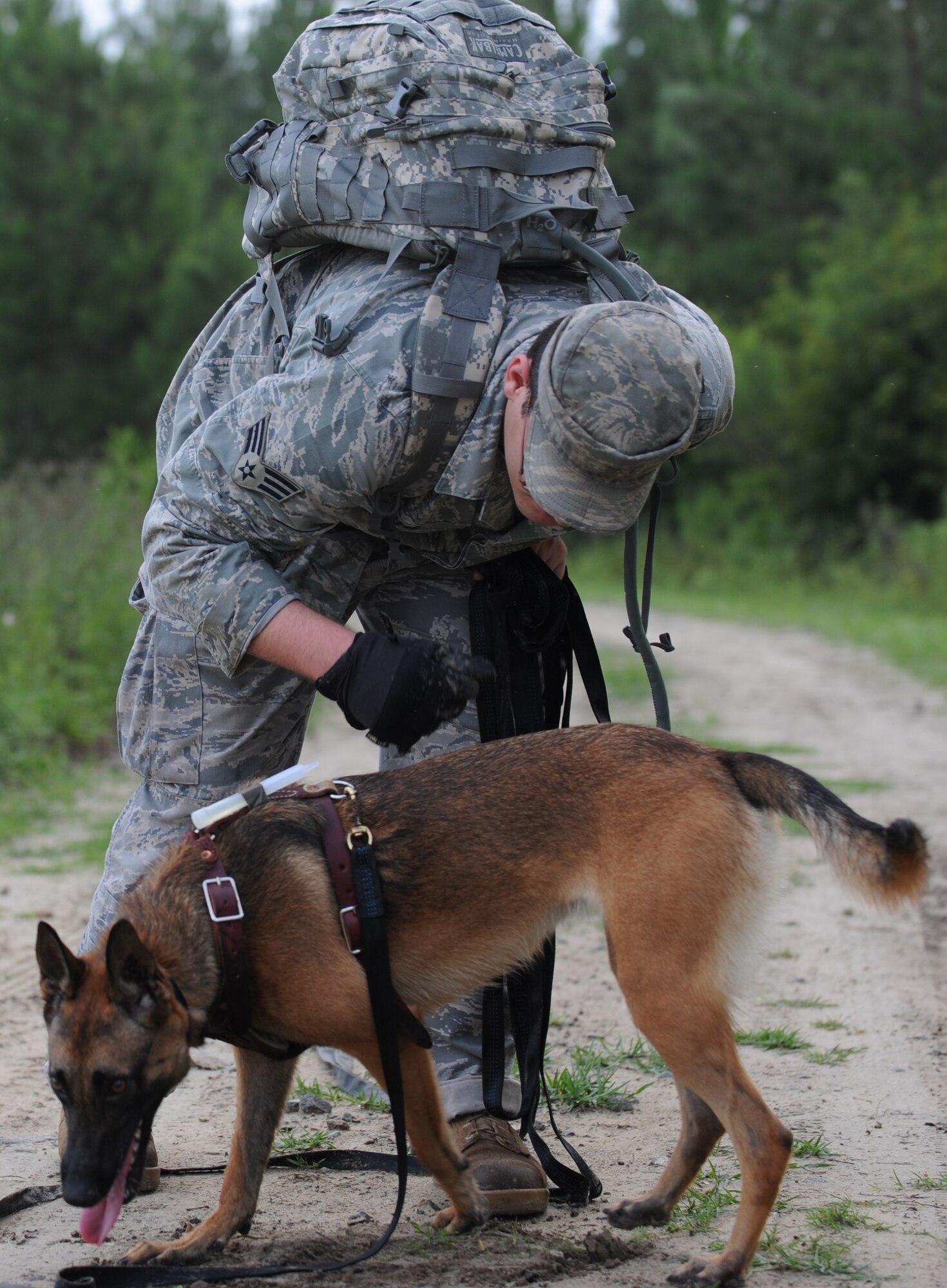 MOODY AIR FORCE BASE, Ga. -- Senior Airman Beaun Clegg, 822nd Security Forces Squadron military working dog handler, familiarizes Rreyana with an object here July 9. Rreyana recently finished training at Lackland Air Force Base, Texas, and is preparing to be combat-ready. (U.S. Air Force photo by Senior Airman Gina Chiaverotti-Paige)