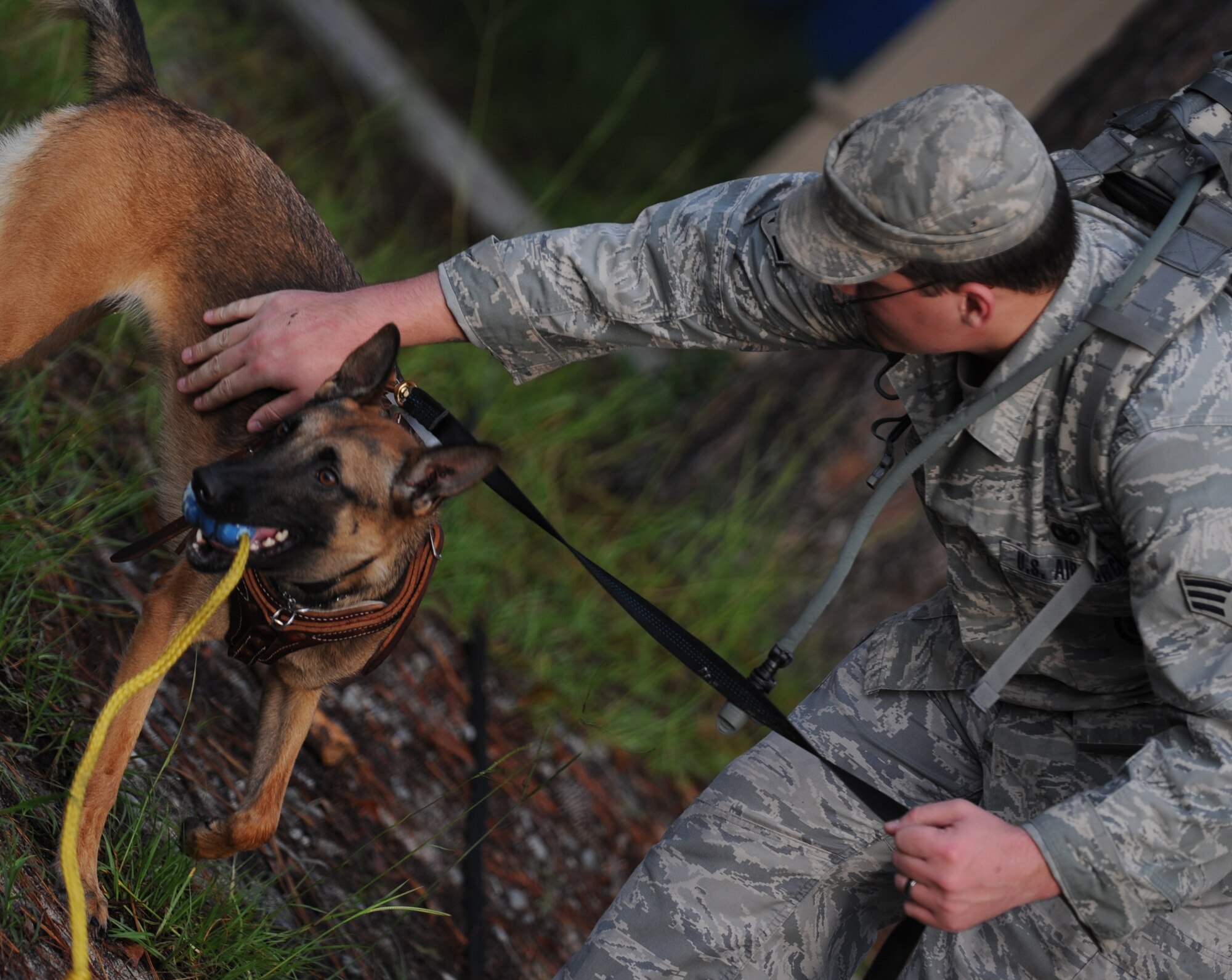 MOODY AIR FORCE BASE, Ga. -- Senior Airman Beaun Clegg, 822nd Security Forces Squadron military working dog handler, praises Rreyana after she performed a protection training problem here July 9. Rreyana is one of three new dogs that arrived in June from Lackland Air Force Base, Texas. (U.S. Air Force photo by Senior Airman Gina Chiaverotti-Paige)