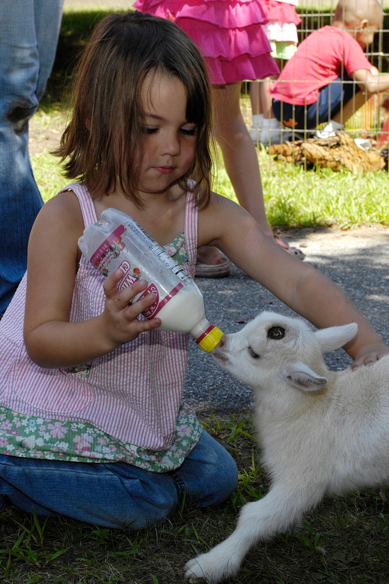 HANSCOM AIR FORCE BASE, Mass. – Payton Hurttgam feeds a goat during a traveling petting zoo visit to the Hanscom Child Development Center on Aug. 14. Children at the CDC had the opportunity to feed, hold and learn about a variety of animals during the visit. (U.S. Air Force photo by Linda LaBonte Britt)