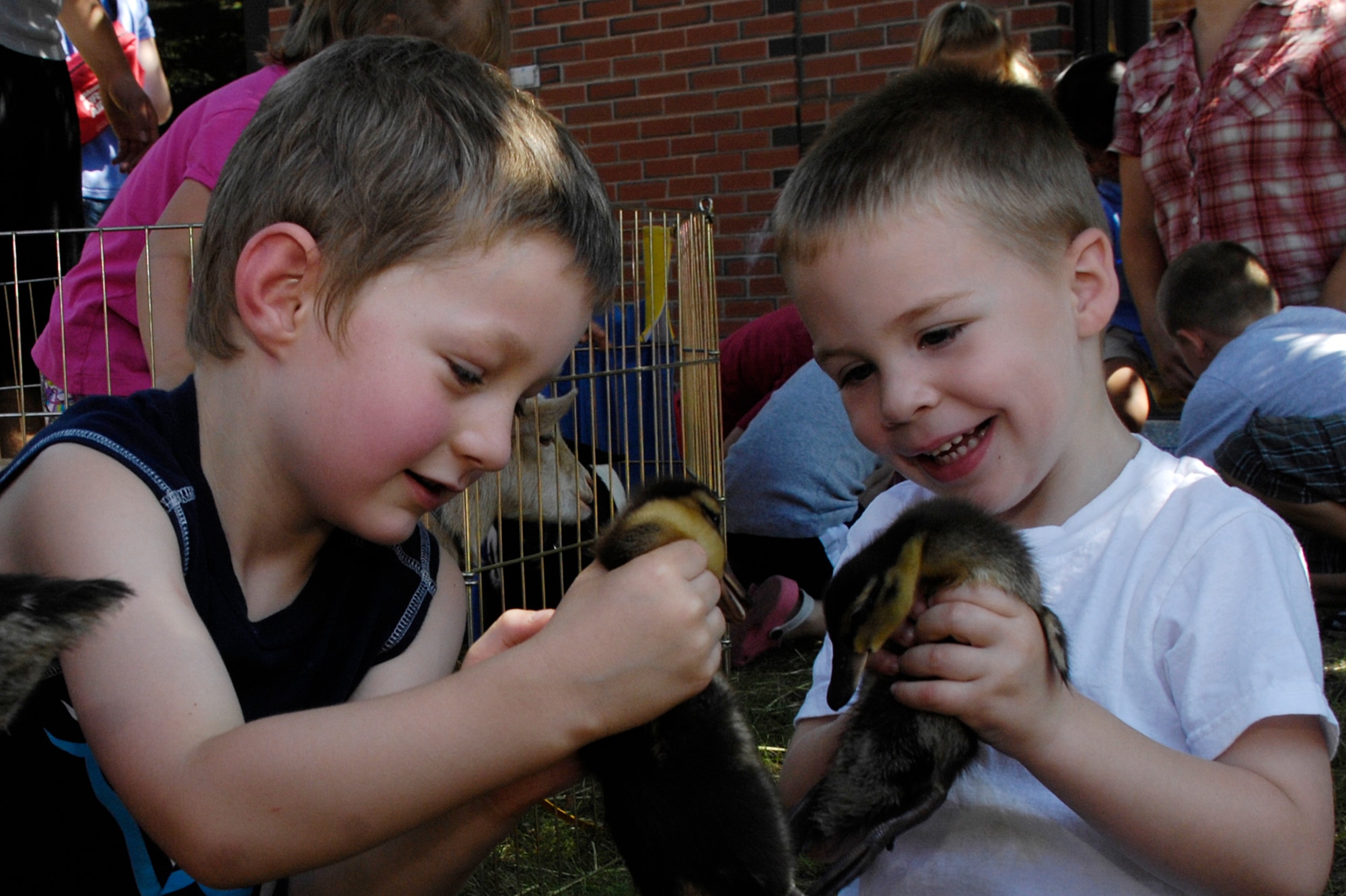 HANSCOM AIR FORCE BASE, Mass. – Adam Brown (left) and Christian Miller (right) hold Cayuga Mallard ducklings during the Hanscom Child Development Center’s visit from a traveling petting zoo on Aug. 14. (U.S. Air Force photo by Linda LaBonte Britt)