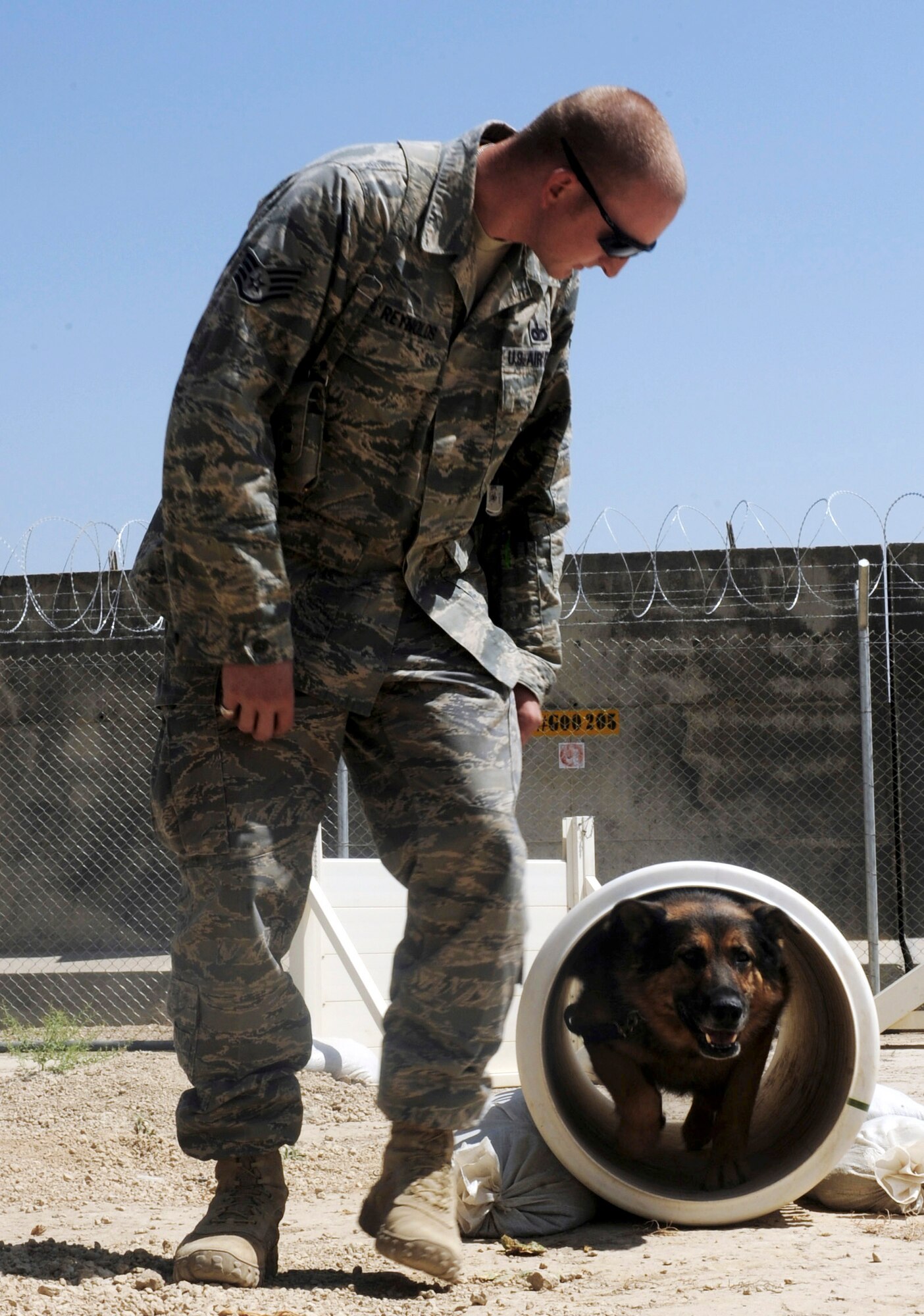 Staff Sgt. Chris Reynolds runs his German shepherd, Baiky, through a training obstacle course Aug. 7 at Bagram Airfield, Afghanistan. Sergeant Reynolds, an eight-year Air Force veteran, is a dog handler with the 455th Expeditionary Security Forces Squadron and is deployed from Vandenberg Air Force Base, Calif. He and his dog patrol the base and inspect mail, luggage and vehicles for narcotics. (U.S. Air Force photo/Staff Sgt. J.G. Buzanowski) 
