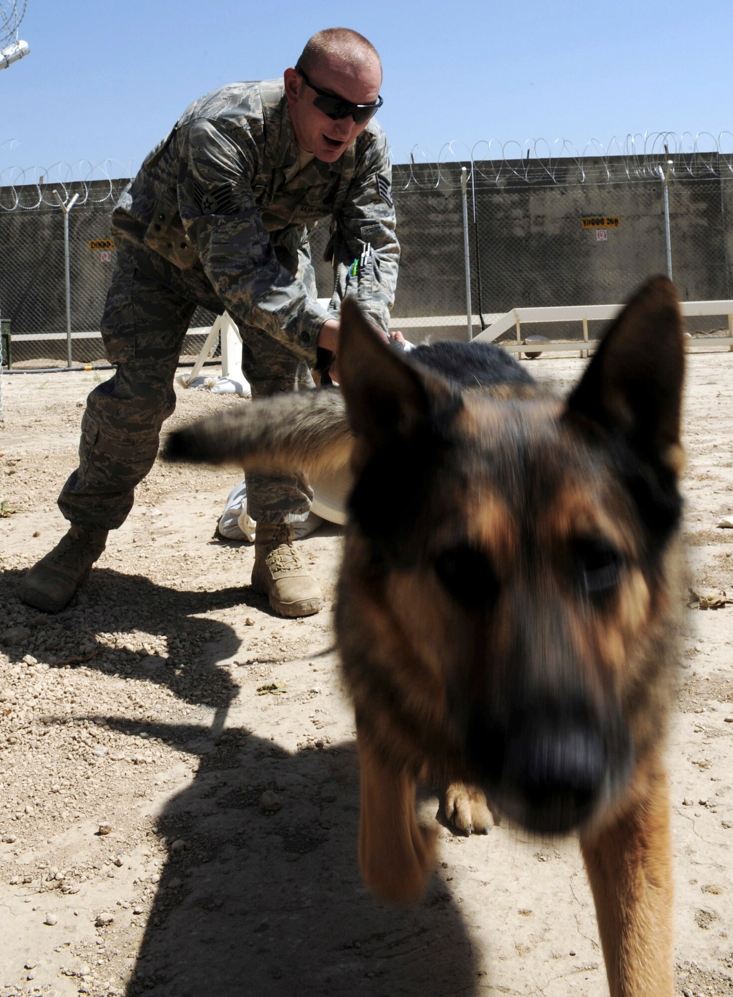 Staff Sgt. Chris Reynolds runs his German shepherd, Baiky, through a training obstacle course Aug. 7 at Bagram Airfield, Afghanistan. Sergeant Reynolds, an eight-year Air Force veteran, is a dog handler with the 455th Expeditionary Security Forces Squadron and is deployed from Vandenberg Air Force Base, Calif. He and his dog patrol the base and inspect mail, luggage and vehicles for narcotics. (U.S. Air Force photo/Staff Sgt. J.G. Buzanowski) 
