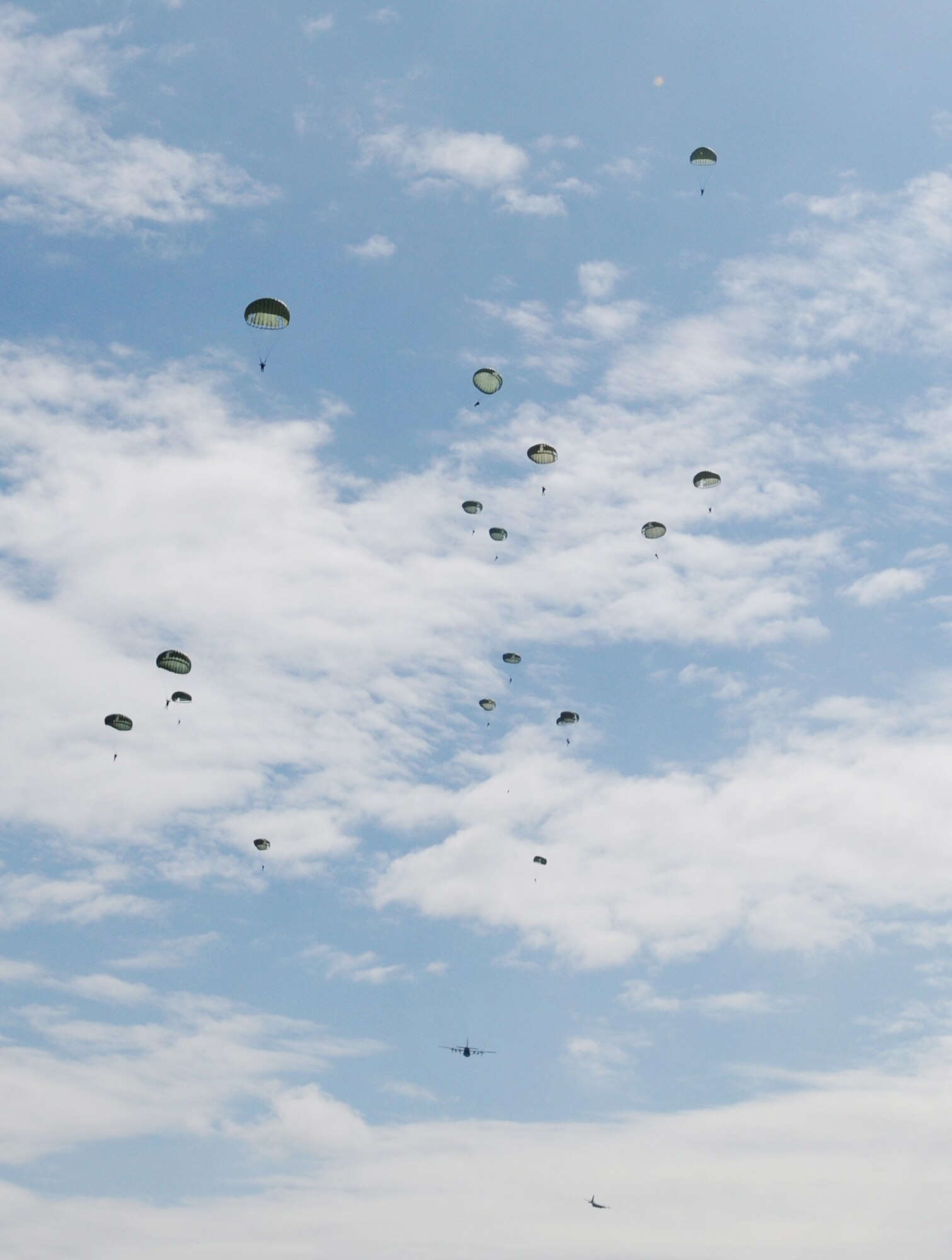 U.S. forces along with German, Italian, Belgium and Dutch army parachute over the Bunker drop zone Aug. 13 in southwestern Germany. U.S. Soldiers and Airmen performed a combined airborne drop with four other NATO countries. (U.S. Air Force photo/Airman 1st Class Grovert Fuentes-Contreras)