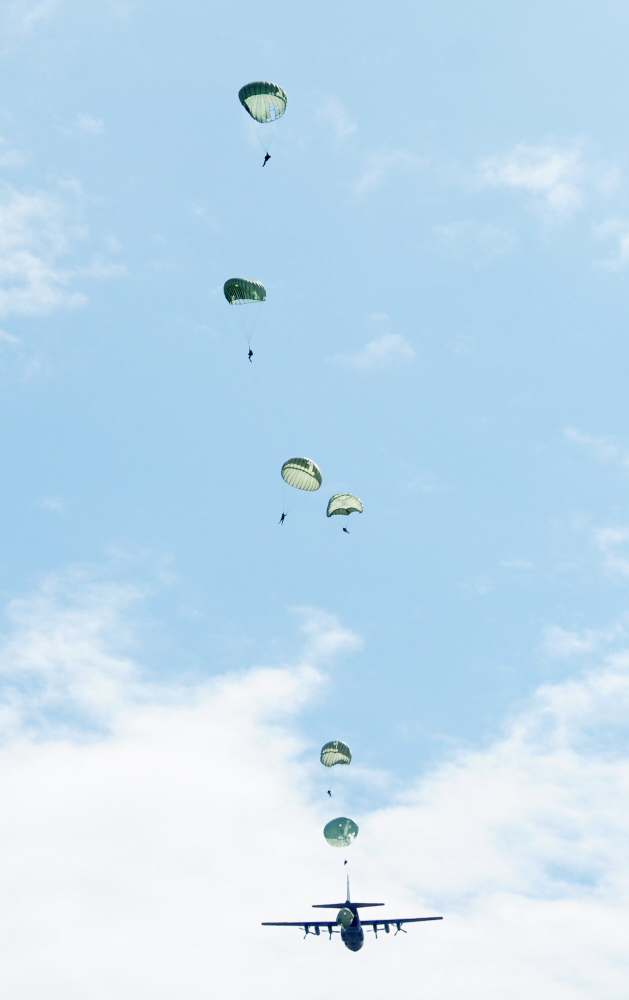 U.S. forces along with four NATO countries parachute over the Bunker drop zone Aug. 13 in southwestern Germany. U.S. Soldiers and Airmen performed a combined airborne jump with four other NATO countries during International Jump Week. (U.S. Air Force photo/Airman 1st Class Grovert Fuentes-Contreras) 

