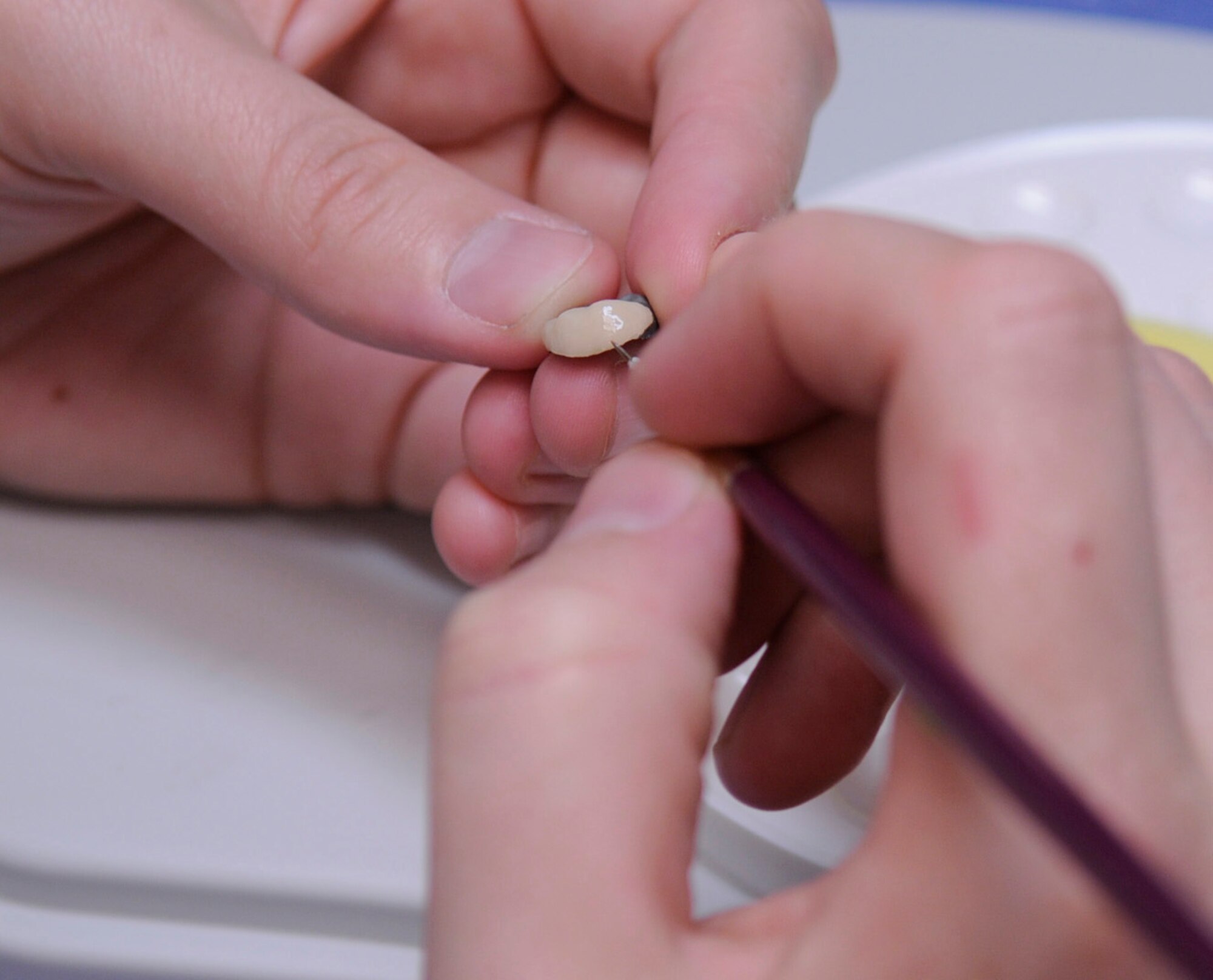 Staff Sgt. Bianca Roth glazes a porcelain fuse metal crown at the dental clinic Aug. 19, 2009, Eielson Air Force Base, Alaska. The 354th Dental Clinic makes several prosthetics in their lab; reducing the amount of time patients have to wear temporary prosthesis. Sergeant Roth is a dental lab technician assigned to the 354th Medical Group. (U.S. Air Force photo/Airman 1st Class Laura Goodgame)