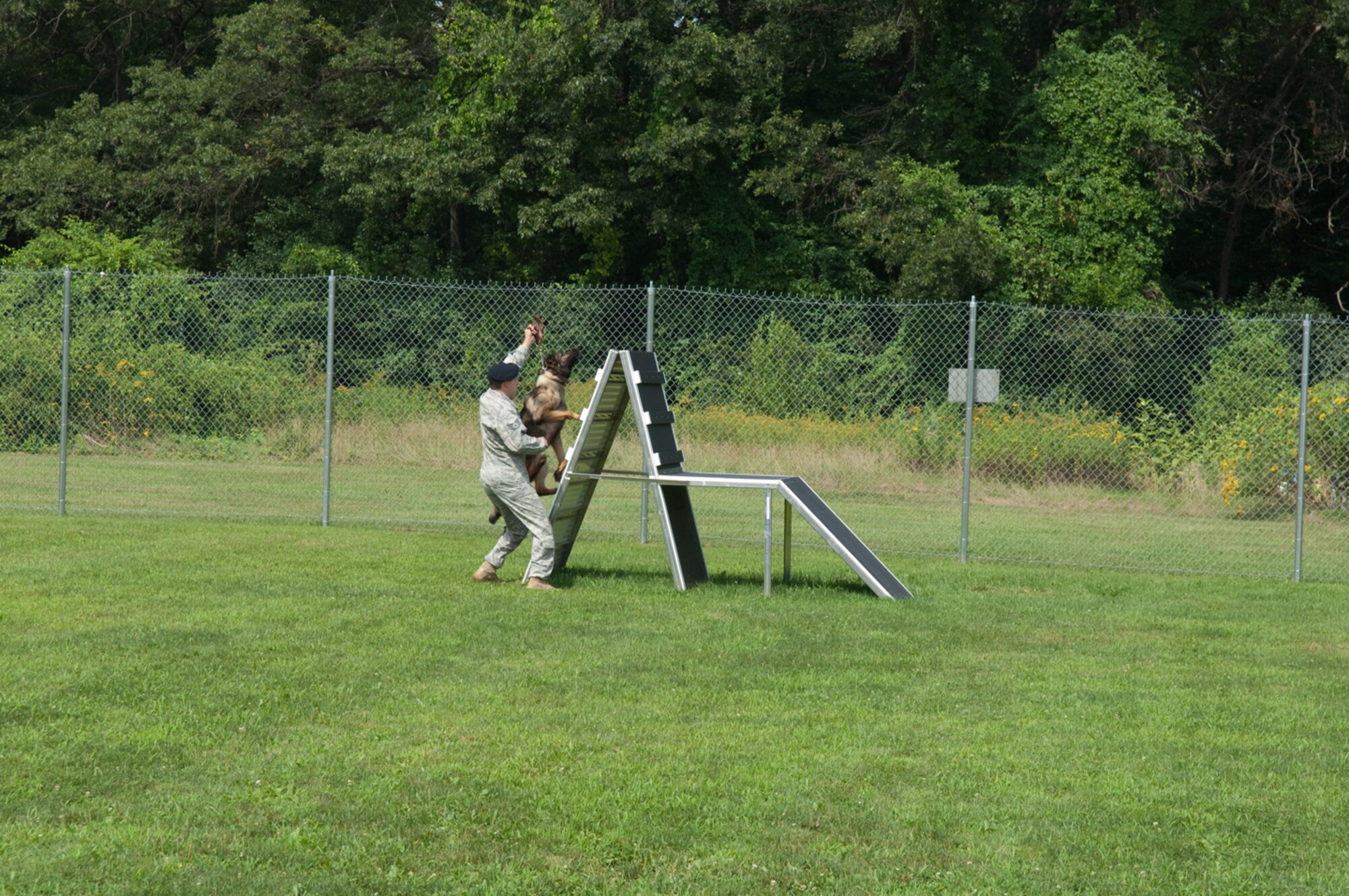 HANSCOM AIR FORCE BASE, Mass. –Military Working Dog Boxi demonstrates his keen balance and dexterity as he scales a wall with guidance from his handler Staff Sgt. Richard Crotty, 66th Security Forces Squadron during a training demonstration at the Hanscom kennels on Aug. 21. (U.S. Air Force photo by Rick Berry)