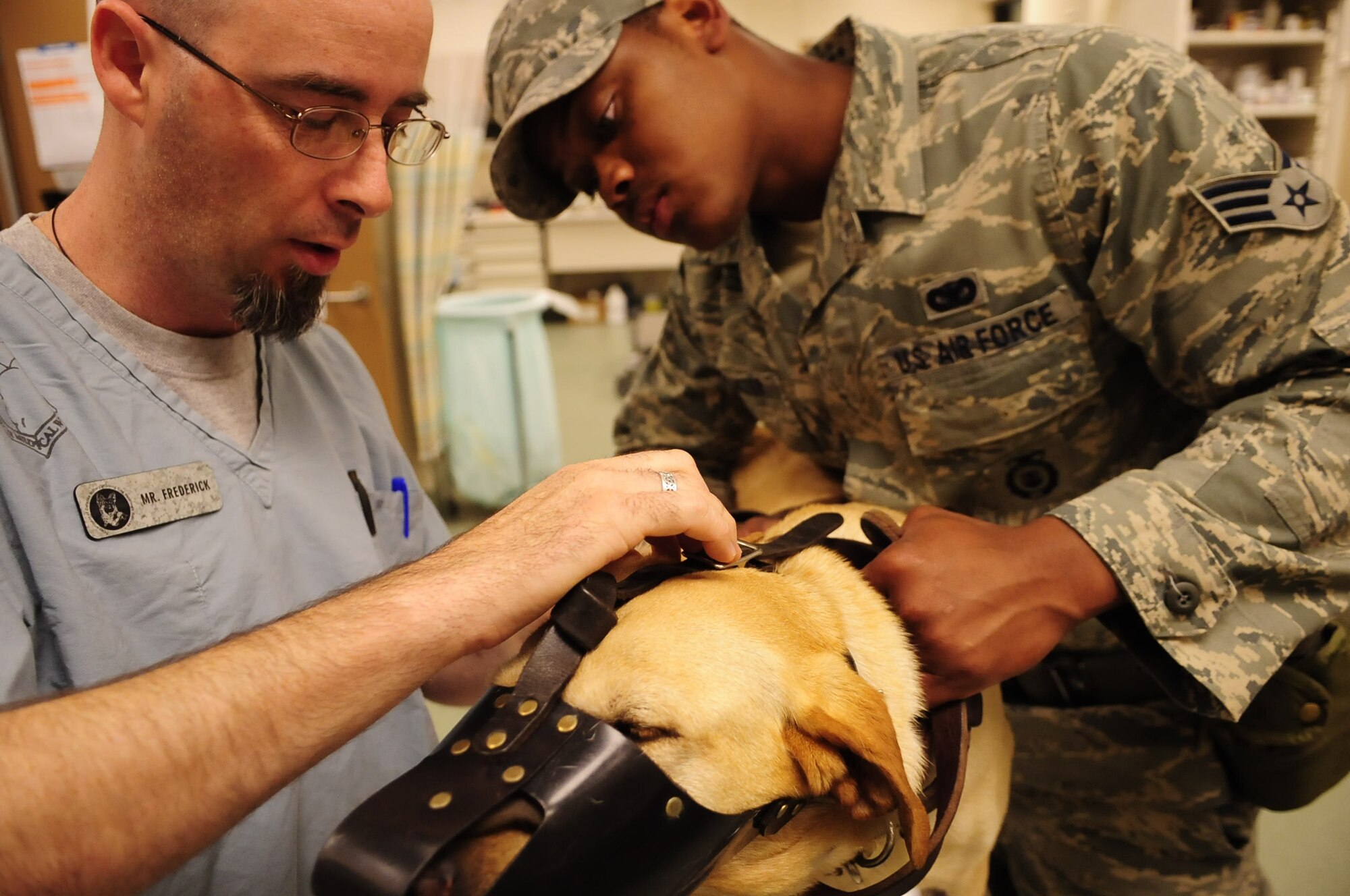 Mr. Rufus Fredrick and Senior Airman Tommy Carter conduct a weekly checkup on a military working dog at Lackland Air Force Base, Texas, recently. To reassure all military working dogs are in proper health, each dog is given a weekly checkup. (U.S. Air Force photo/Senior Airman Christopher Griffin)