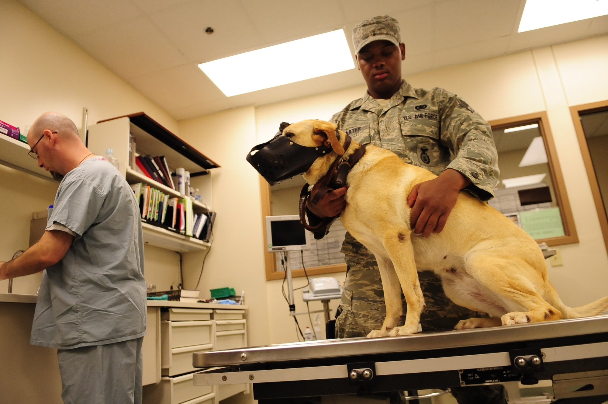 Mr. Rufus Fredrick and Senior Airman Tommy Carter conduct a weekly checkup on a military working dog at Lackland Air Force Base, Texas, recently. To reassure all military working dogs are in proper health, each dog is given a weekly checkup. (U.S. Air Force photo by Senior Airman Christopher Griffin)