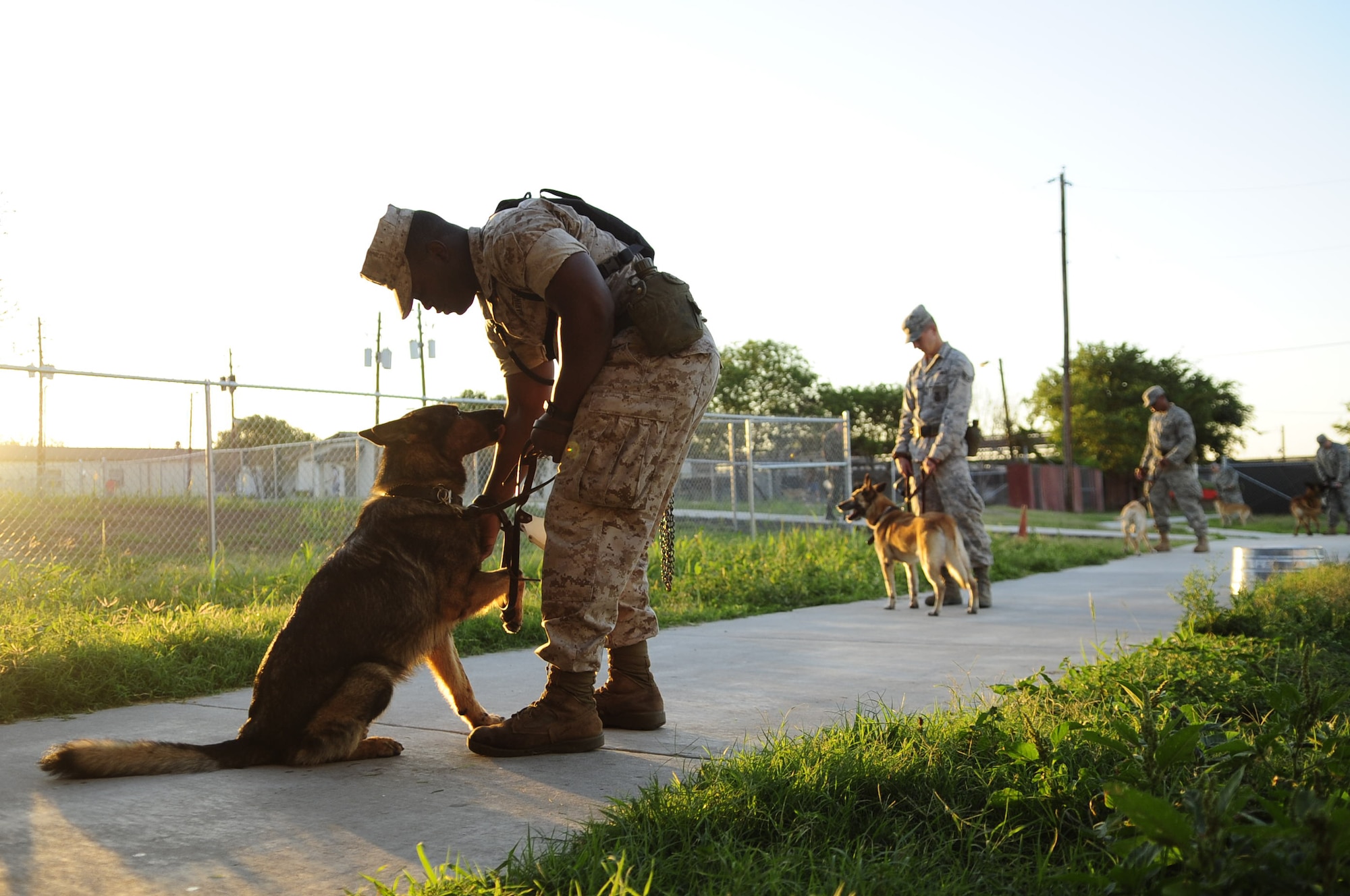 Military working dogs and their handlers wait outside the Military Working Dog Hospital for a check up at Lackland Air Force Base, Texas. Military working dogs are enrolled in a 60- to 90-day training program where they are taught to detect explosives and drugs. They are also taught deterrence training and how to protect their handler. (U.S. Air Force photo/Senior Airman Christopher Griffin)