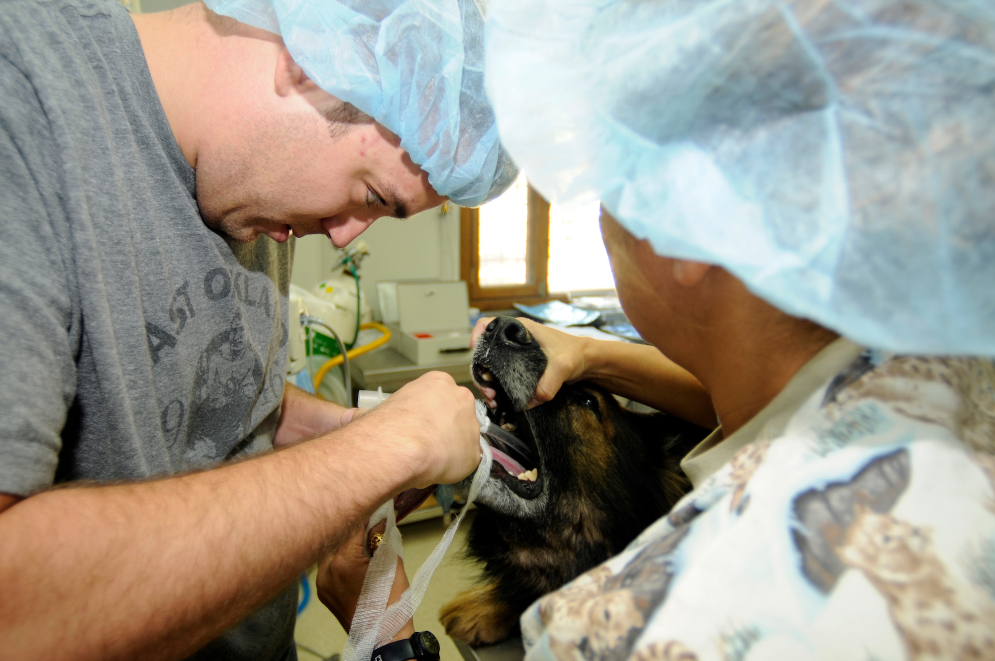 Staff Sgt. Eric Bonner, a 39th Security Forces Squadron military working dog handler, intubates Suli, his 9-year-old German shepherd partner, prior to Suli’s prophylactic gastropexy, also referred to as stomach tacking, to prevent gastric torsion, or twisting of the stomach Thursday, Aug. 27, 2009 at the Veterinary Clinic, Incirlik Air Base, Turkey.  The surgery was completed after a recommendation by the Army, the service in charge of medical care for the military working dog program, for all dogs in the program to receive the surgery.  Stomach twisting is caused by gastric dilatation and volvulus, commonly known as bloat, the second leading killer of dogs after cancer.  (U.S. Air Force photo/Staff Sgt. Raymond Hoy)