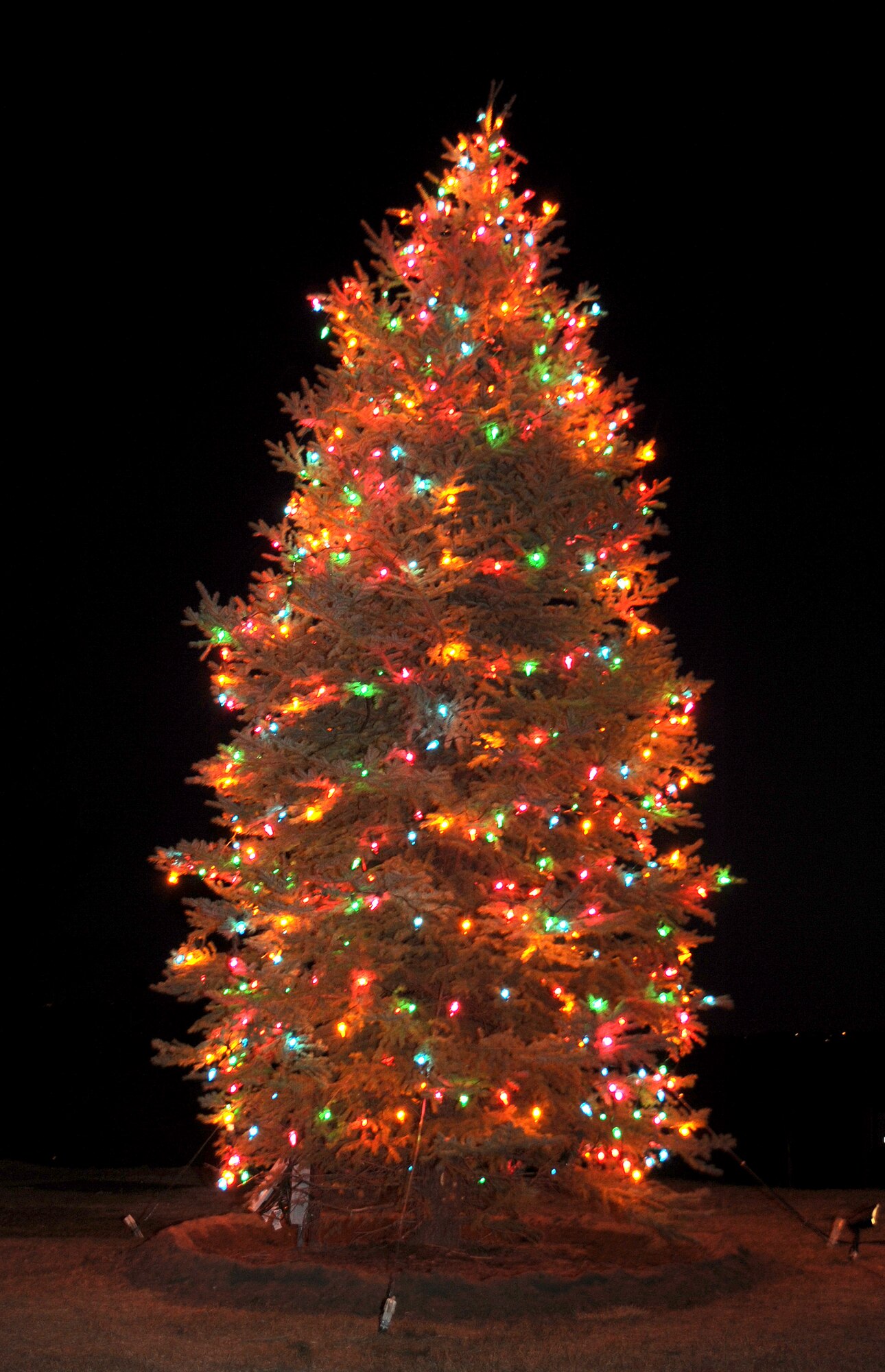The Air Force Academy's Christmas tree decorates the grounds near the Community Center Chapel after a tree lighting ceremony at the chapel Dec. 1, 2009. More than 200 people came out to witness the tree lighting and to greet Santa Claus, who stopped by for a visit. (U.S. Air Force photo/Johnny Wilson)