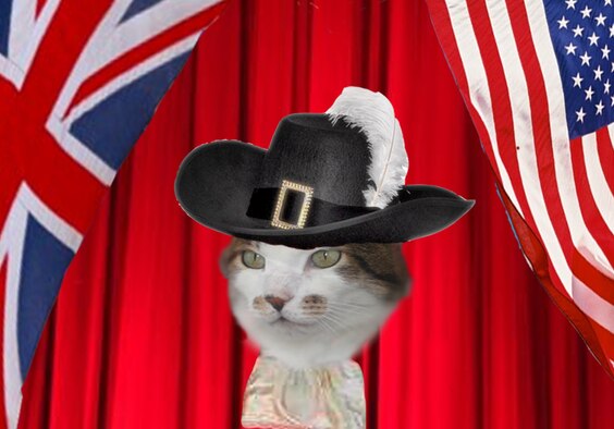 As holiday traditions go, there is little that makes me feel more festive than a good old traditional pantomime, or ‘panto’. As the chill winds ruffle my whiskers and the frost nips my nose, panto brings warmth, laughter and fun to the winter season. 
A good family pantomime can generally be found at a theatre in most towns and cities of the U.K., and we are blessed in this region with some of the finest. 