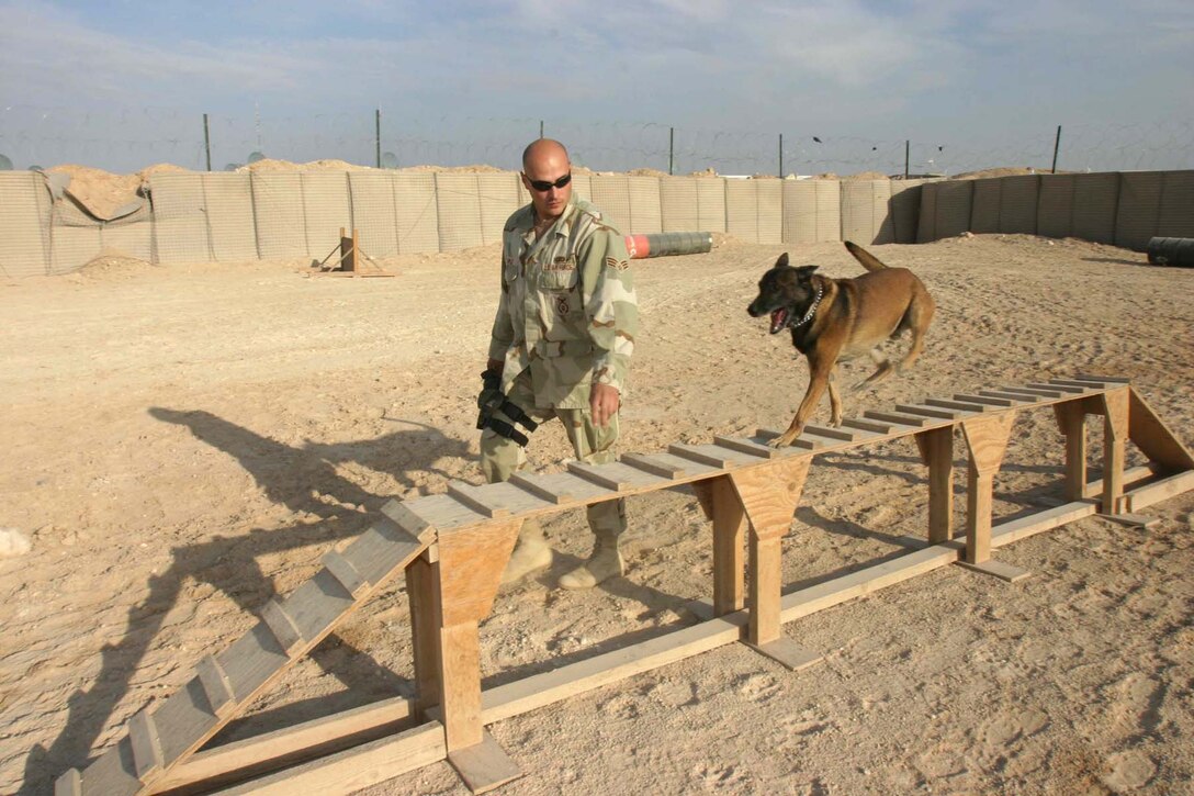 CAMP RIPPER, Iraq (Nov. 23, 2005) - Parkersburg, Iowa native Air Force Senior Airman Steven K. Temple, a military working dog handler and Gizmo run through an obedience obstacle course here used to stay trained. Marine and Air Force dog handlers work side-by-side supporting Regimental Combat Team-2 on missions during Operation Iraqi Freedom. (Official Marine Corps photo by Cpl. Adam C. Schnell)