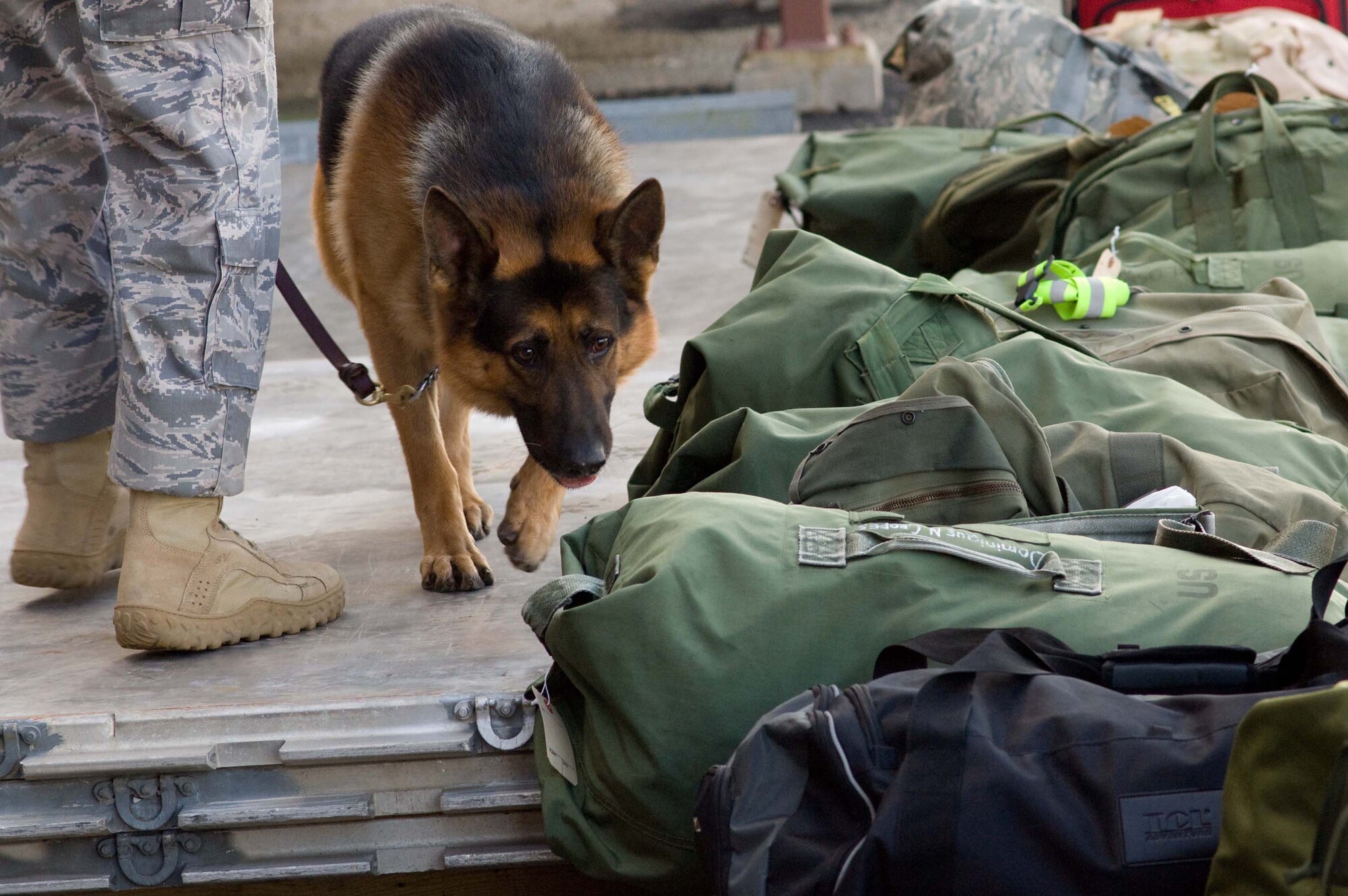 LANGLEY AIR FORCE BASE, Va. -- Drak and Tech. Sgt. Ronald Denisi, 1st Security Forces Squadron kennel master, inspect cargo during a Phase I Operational Readiness Exercise Dec. 3. Wing Exercise Evaluation Team members will assess the ability of 1st Fighter Wing units to deploy cargo, aircraft and Airmen within a limited timeframe. (U.S.  Air Force photo/Staff Sgt. Barry Loo)