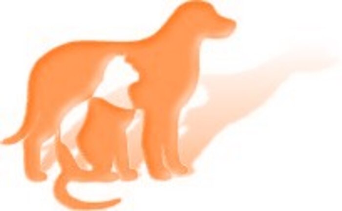 Holiday safety for pets