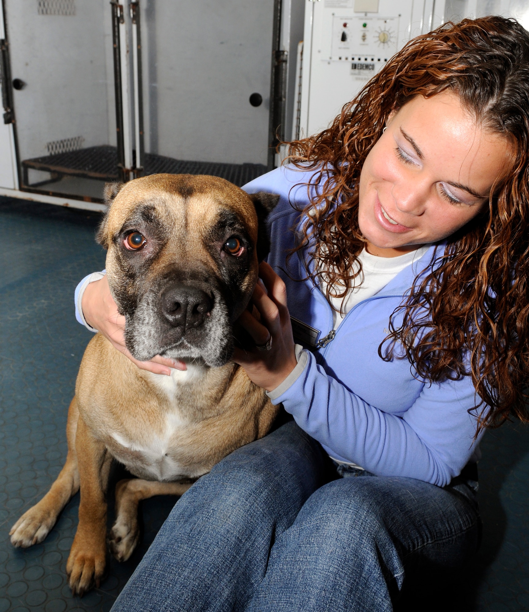 SPANGDAHLEM AIR BASE, Germany – Katie Hasty, Pet Spa representative, plays with Fidel, Blue Italian Mastiff, during Doggy Day Care Nov. 16 at the Pet Spa. Doggy Day Care is a program offered by the Pet Spa that takes care of Sabers’ pets during the work day. (U.S. Air Force photo/Airman 1st Class Staci Miller)