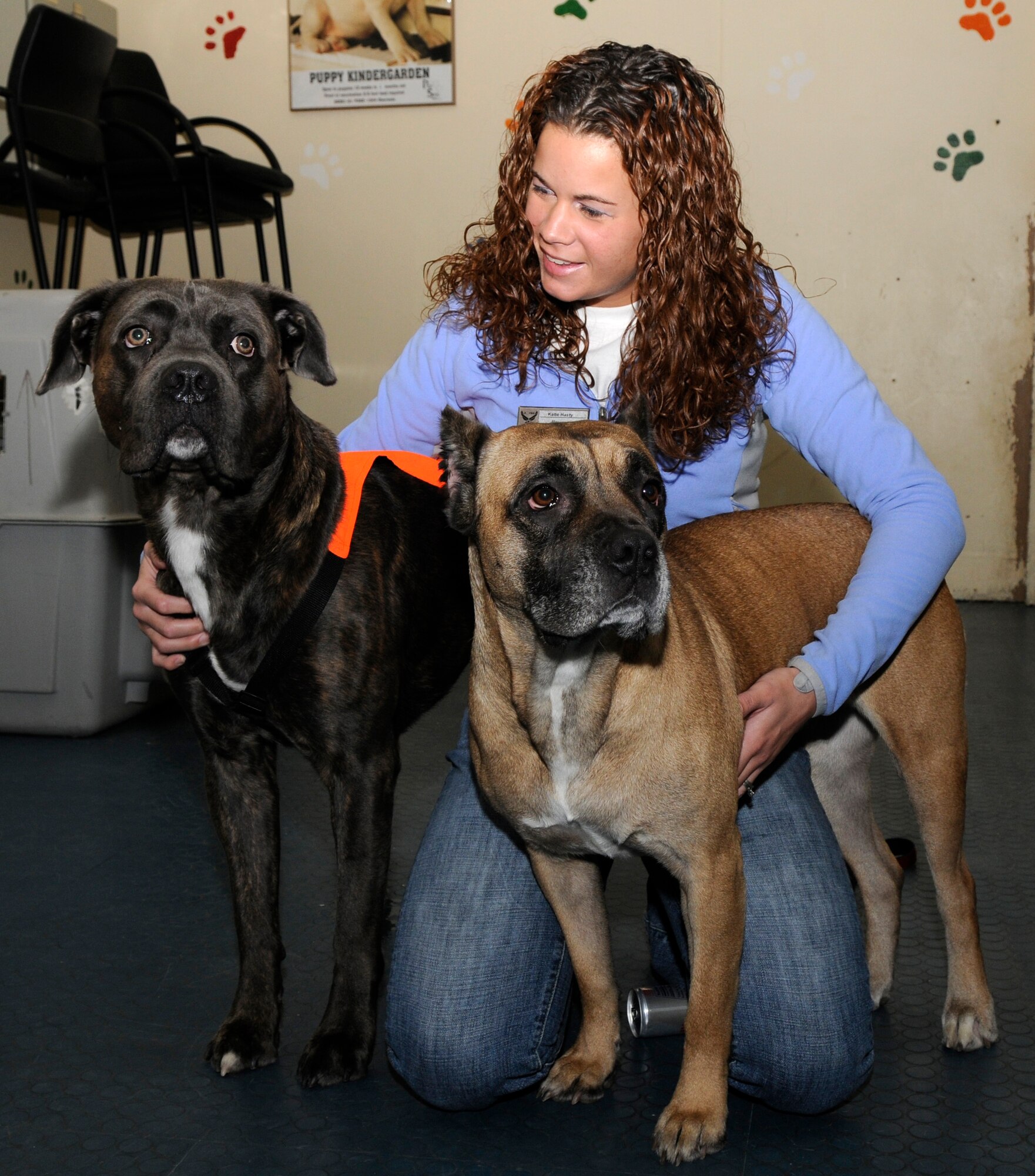 SPANGDAHLEM AIR BASE, Germany – Katie Hasty, Pet Spa representative, plays with Mufasa and Fidel, Blue Italian Mastiffs, during Doggy Day Care Nov. 16 at the Pet Spa. Doggy Day Care gives Sabers a place to kennel their pets during the work day. (U.S. Air Force photo/Airman 1st Class Staci Miller)