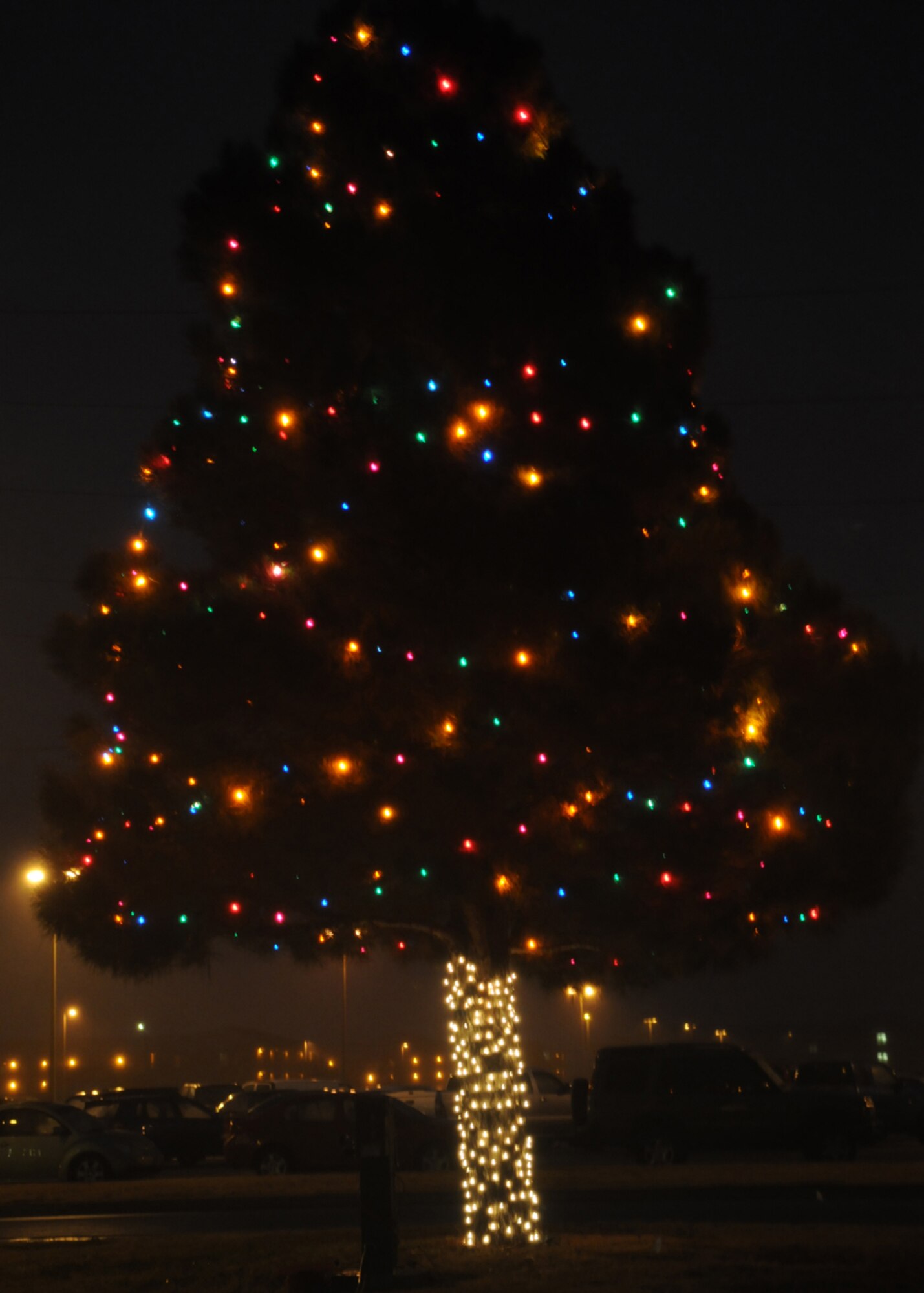GOODFELLOW AIR FORCE BASE, Texas -- The base Christmas tree lights glow during the annual tree lighting ceremony, Dec. 7, 2009. (U.S. Air Force photo/Airman Clayton Lenhardt)