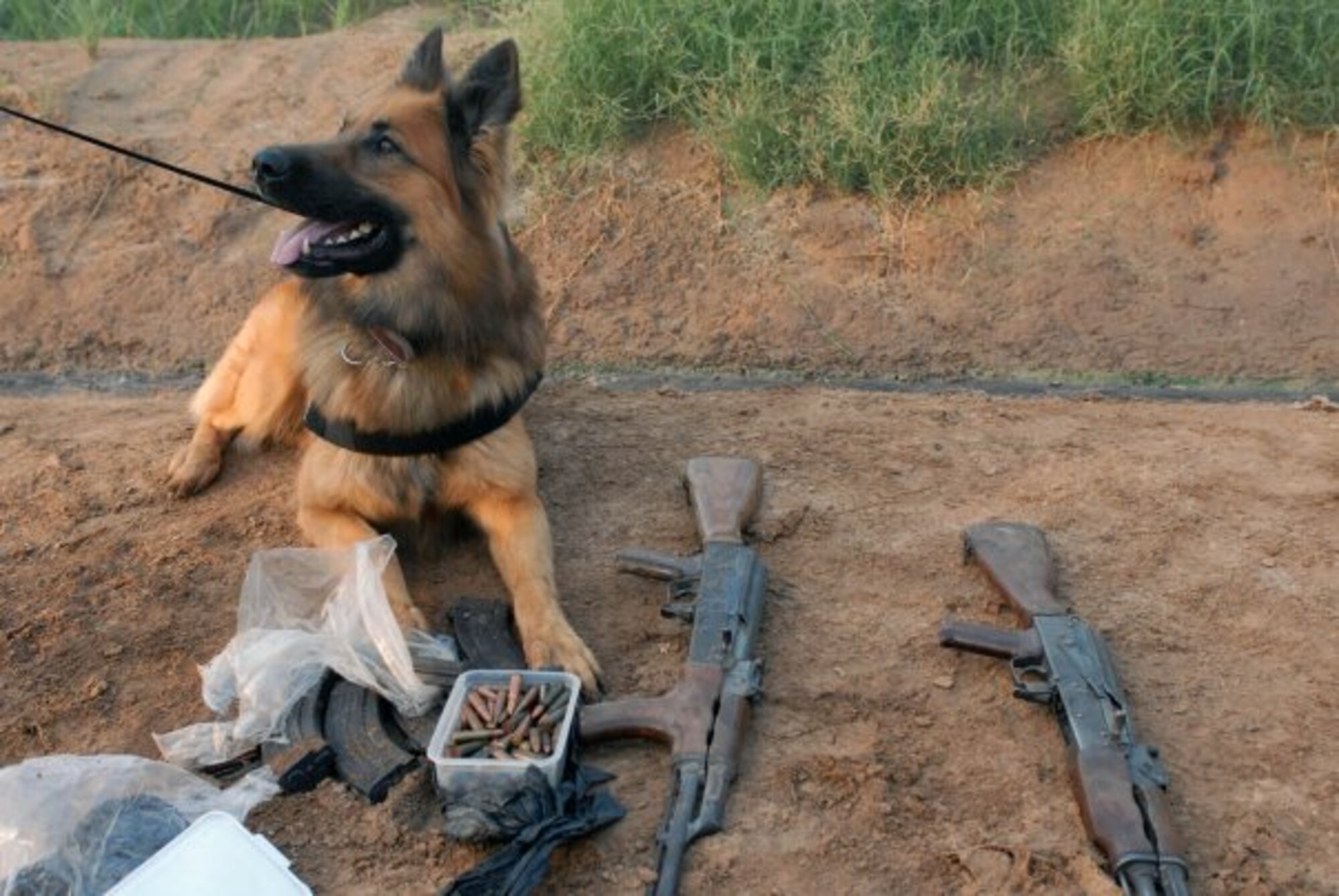 CAMP CROPPER, Iraq -- Military working dog Palli lies beside his findings Nov. 10 after an objective in the town of Tarmiyah. Palli sniffed out two AK-47 assault rifles, 150 rounds of 7.62mm ammunition and 15 7.62mm magazines, fully loaded.

Staff Sgt. Terry Mace and his military working dog Palli were deployed to Camp Cropper, Iraq Sept. 25, 2009. Both Mace and Palli are originally from the 3rd Security Forces Squadron military working dog section.
