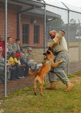 Staff Sgt. Ramone Alexander helps demonstrate the training and abilities of Akim, a military working dog with the 437th Security Forces Squadron, during a tour hosted by the Airman Leadership School here for students from Memminger Elementary School Dec. 4. This year marks the fourth annual tour ALS has hosted. Staff Sgt. Alexander is a dog handler assigned to the 437 SFS. (U.S. Air Force photo/Airman 1st Class Lauren Laidlaw)